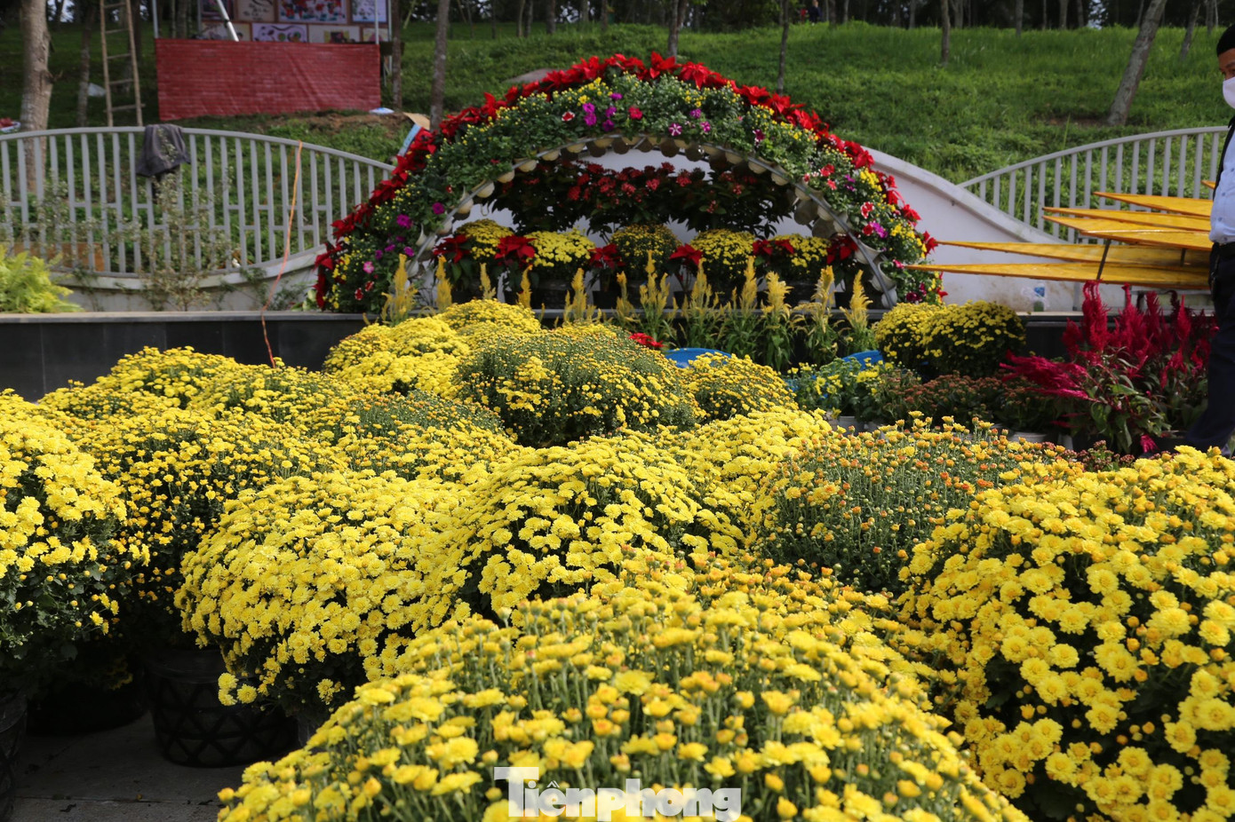 Ông Phan Xuân Bảo - Giám đốc Công ty Cổ phần Công viên cây xanh TP Vinh cho biết: “Công ty đã huy động 100% nhân lực, vật lực, đẩy nhanh tiến độ trang trí các tuyến đường hoa theo kế hoạch. Dự kiến từ nay đến hết ngày 25 tháng Chạp sẽ hoàn thành để phục vụ nhu cầu vui Tết, đón Xuân của bà con”.