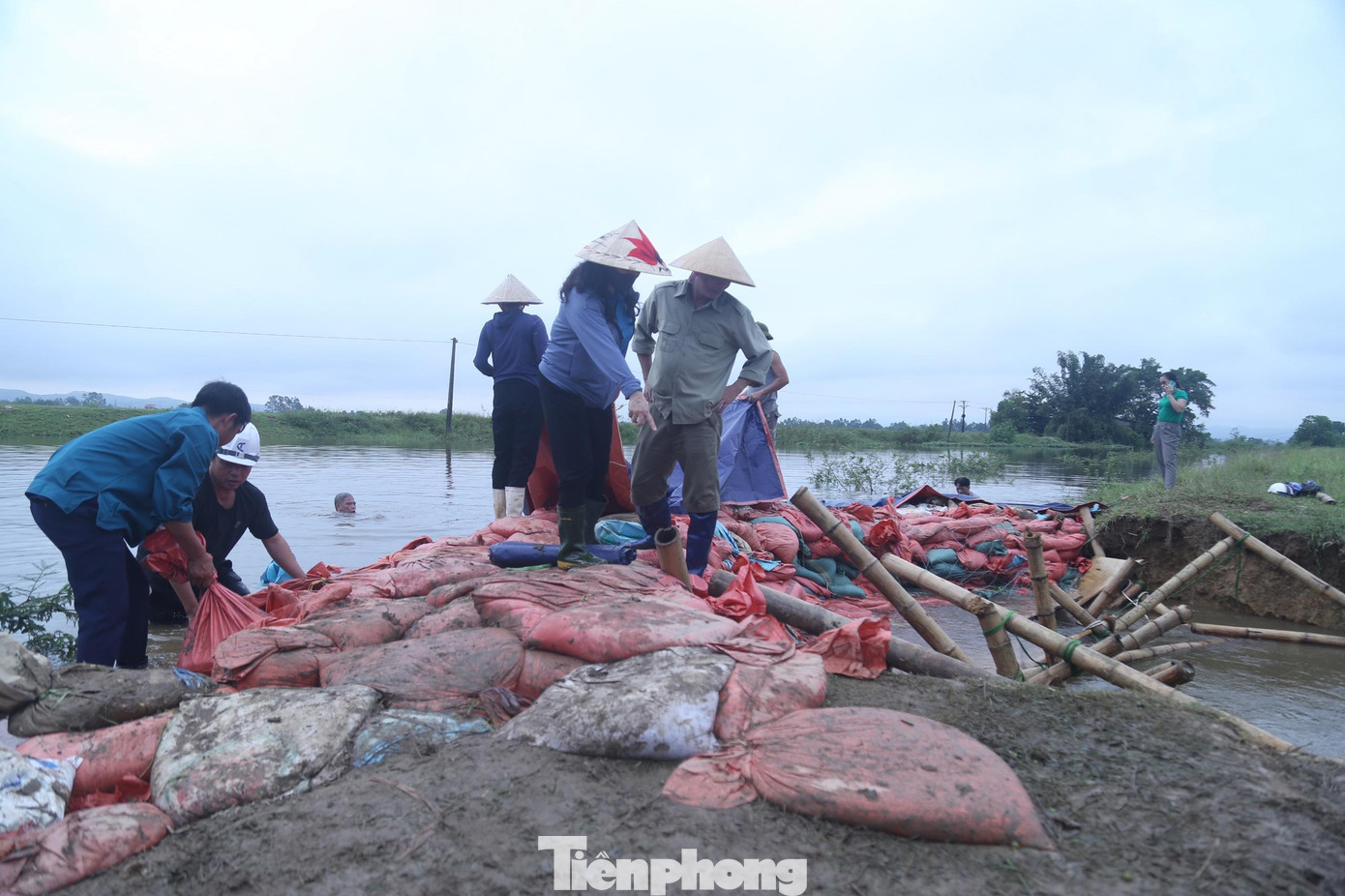 Ghi nhận sáng 30/9, đoạn đê đã được vá bằng số lượng lớn các bao tải cát, đá và được chống đỡ bằng những thanh mét cắm sâu, chắc chắn. Tuy nhiên, trong khoảng thời gian đê vỡ, nước đã tràn vào gây ngập úng diện rộng trên địa bàn xã Hưng Đạo. Hiện nước vẫn rò rỉ qua lớp vá