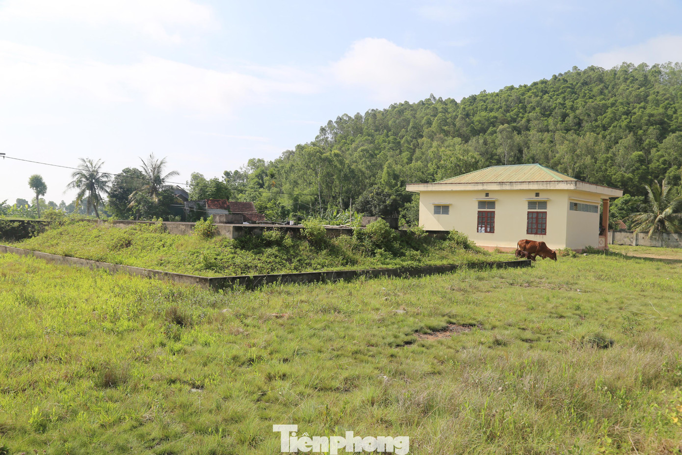 Ông Vũ Khắc Hàn (ở xóm Thọ Phú, xã Quỳnh Thọ) cho biết: “Người dân chúng tôi ai cũng mong chờ có nước sạch để dùng. Khi có dự án xây dựng, bà con ai cũng phấn khởi. Nhưng hết năm này đến năm khác mà nước sạch chẳng thấy đâu”. Theo ông Hàn, vùng đất này có đặc thù nhiễm mặn, phèn nên người dân nơi đây luôn trong tình trạng “khát” nước sạch. Phần lớn người dân phải sử dụng nước giếng khoan và nguồn nước lấy từ tự nhiên (nước mưa).