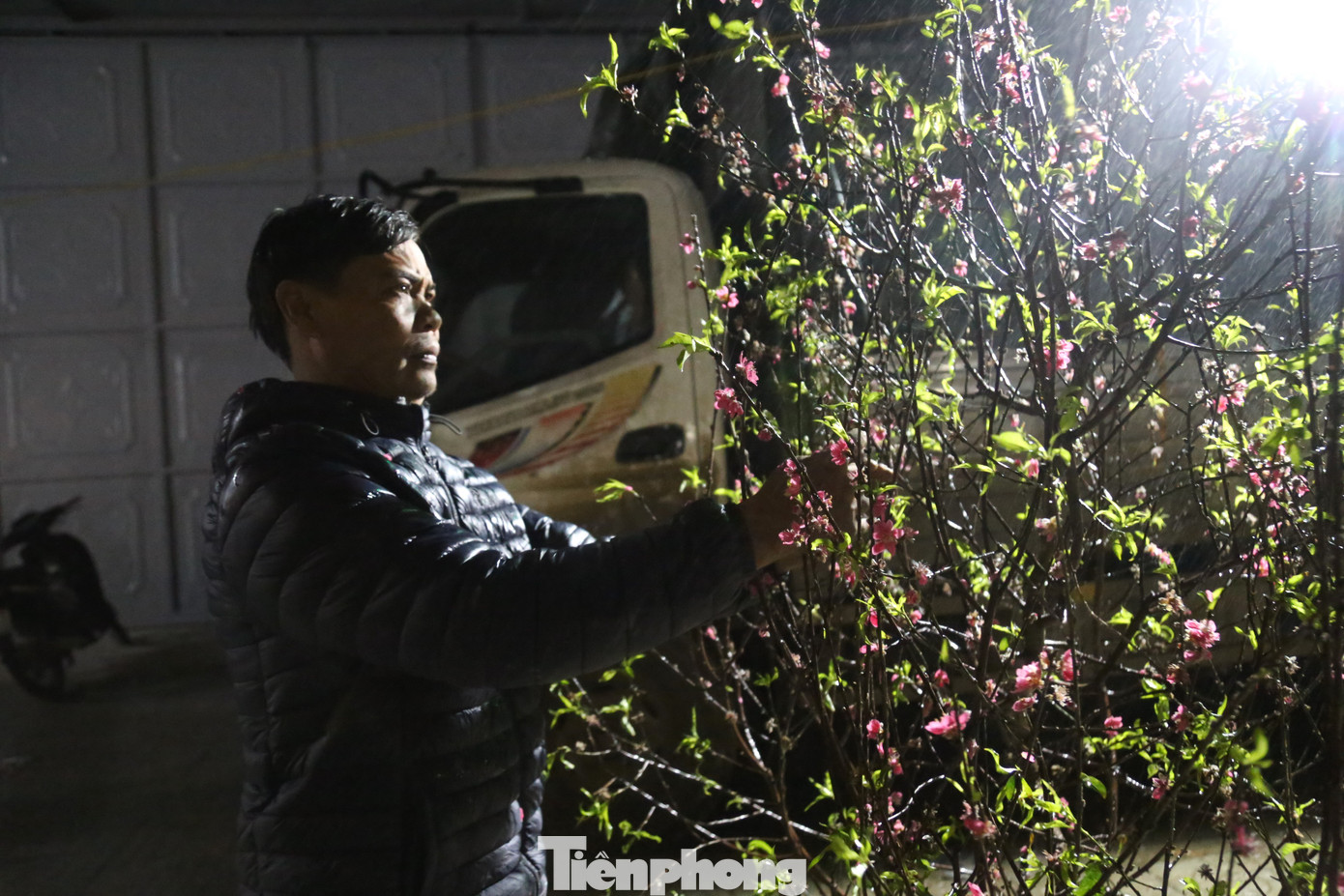 “Mọi năm người dân đi mua nhộn nhịp nhưng năm nay buồn lắm… Như năm ngoái, tầm 8 giờ sáng 28 tháng Chạp là tôi đã hết sạch hàng, thu dọn, tổng vệ sinh để lên đường về. Nhưng năm nay, như em thấy đó, đến giờ vẫn còn bạt ngàn đào, dù đã là đêm 29”, anh Vịnh tâm sự.