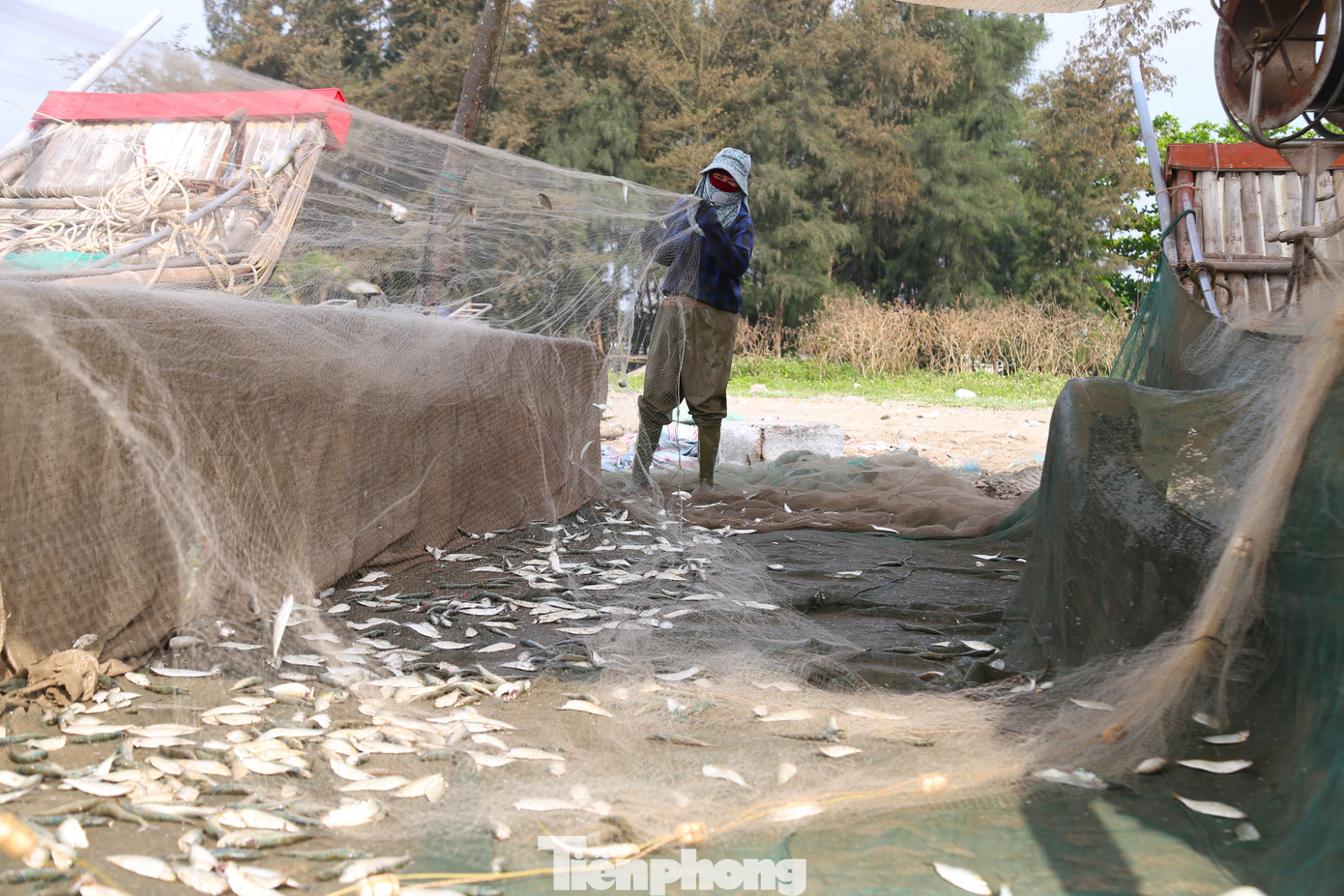 Những ngày qua, thời tiết dao động từ 36-38 độ C khiến các ngư dân phải căng bạt để chống nắng.