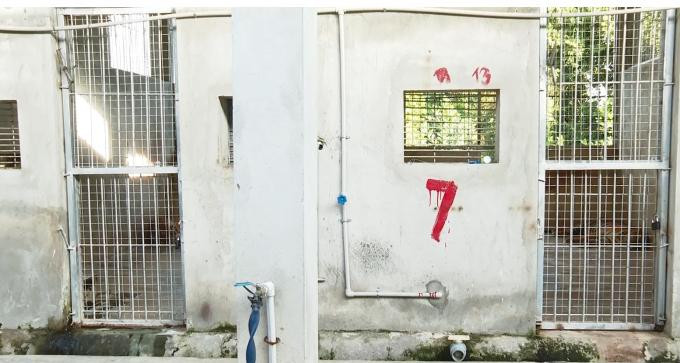 Khu vực nuôi hổ được phân tách rõ ràng Khu vực nuôi hổ được phân tách rõ ràng