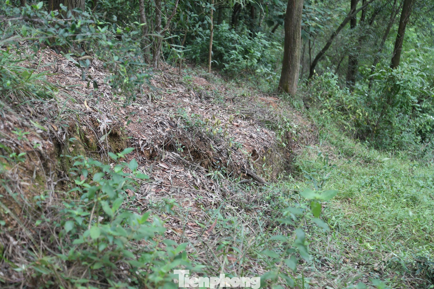 Ghi nhận tại núi Thành, xã Hưng Thành, huyện Hưng Nguyên, một vết nứt dài khoảng 150m, vết sụt lún khoảng 1m xuất hiện sau đợt mưa lớn khiến hàng chục hộ dân vô cùng bất an, lo lắng. Ghi nhận tại núi Thành, xã Hưng Thành, huyện Hưng Nguyên, một vết nứt dài khoảng 150m, vết sụt lún khoảng 1m xuất hiện sau đợt mưa lớn khiến hàng chục hộ dân vô cùng bất an, lo lắng.