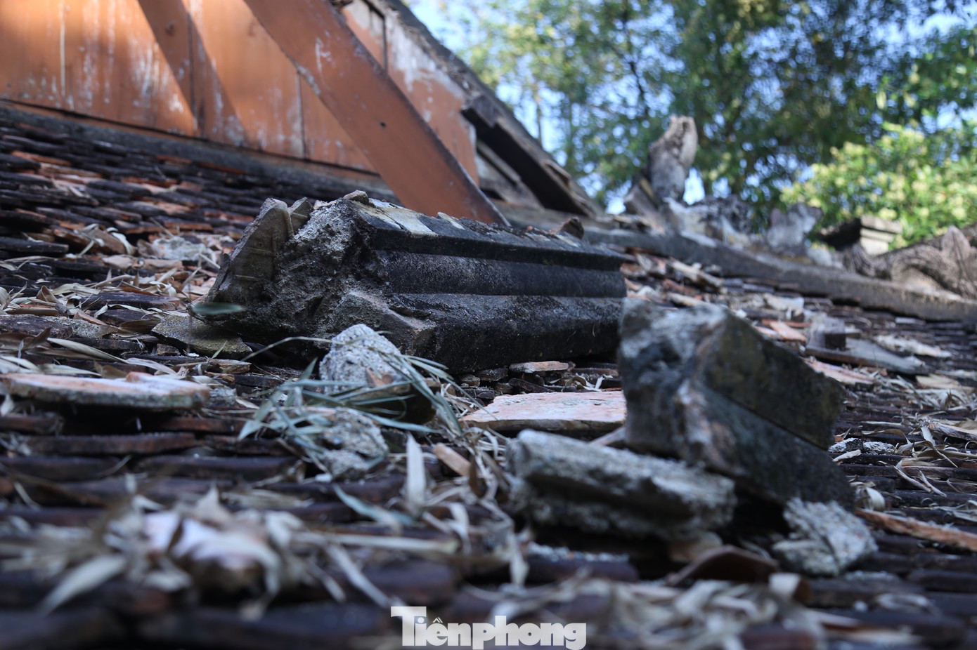 Một phần vôi vữa đường bờ mái ngói hạ điện đã rơi xuống đất nằm lộn xộn trên mái hồi.