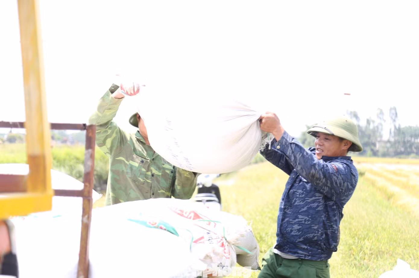 Tùy thuộc quãng đường gần hay xa, anh Hải sẽ nhận được tiền công từ 100.000 - 150.000 đồng/chuyến. Trung bình mỗi ngày, anh chở khoảng 10 - 15 chuyến, thu về từ 1,5 - 2 triệu đồng/ngày.
