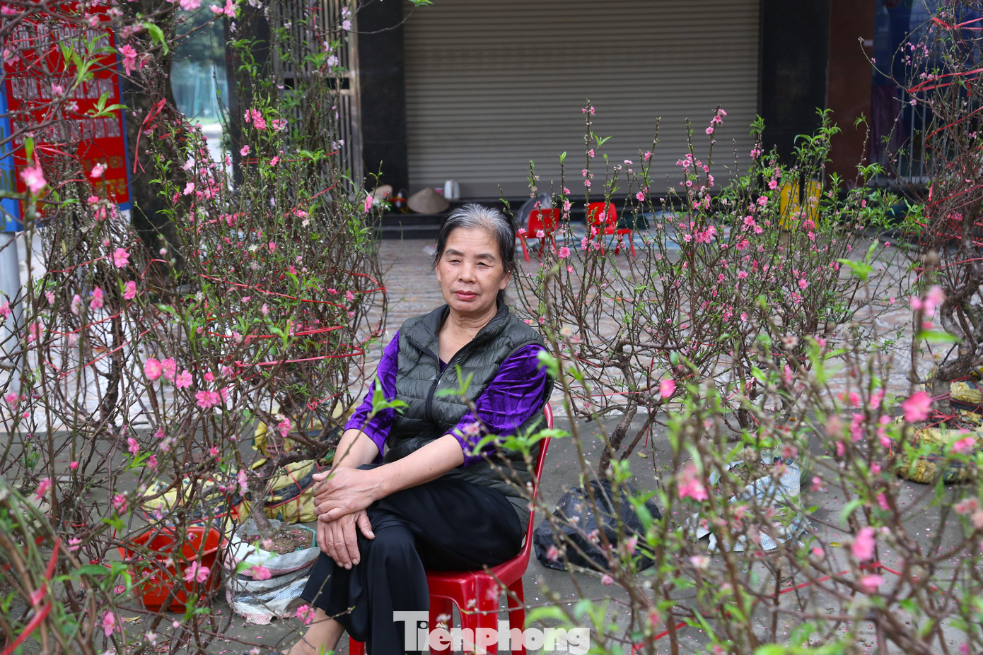 Tình trạng người bán nhiều hơn người mua diễn ra khá phổ biến. Trong ảnh, người buôn đào, quất, mai,... ngồi đợi khách sáng 29 Tết.