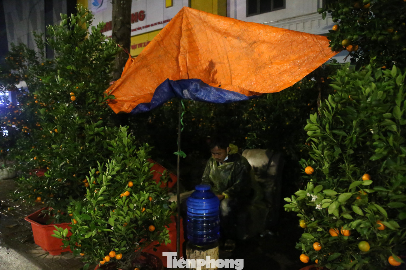 Ngồi co ro giữa những hàng quất, anh Đặng Thanh Nam (43 tuổi, trú ở tỉnh Hưng Yên) cho biết, năm nay, anh mang hơn 300 cây quất vào TP. Vinh bán Tết từ ngày 24 tháng Chạp. Sức mua kém, đến đêm 29 tháng Chạp, anh Nam vẫn còn khoảng 200 cây quất.