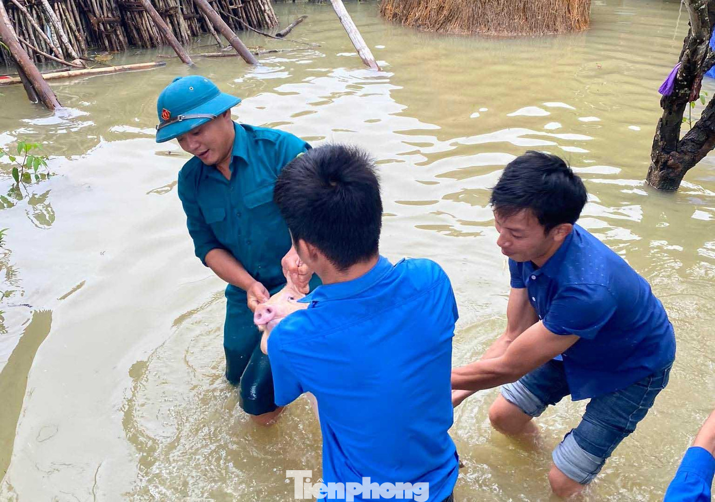 Trước thiệt hại nặng nề do mưa lũ gây ra, phát huy vai trò xung kích của tuổi trẻ, Ban Thường vụ Tỉnh Đoàn Nghệ An đã chỉ đạo các tổ chức cơ sở Đoàn huy động lực lượng, thành lập đội hình thanh niên tình nguyện cùng phối hợp chính quyền địa phương và các lực lượng chức năng hỗ trợ người dân phòng, chống và khắc phục hậu quả do mưa bão gây ra.