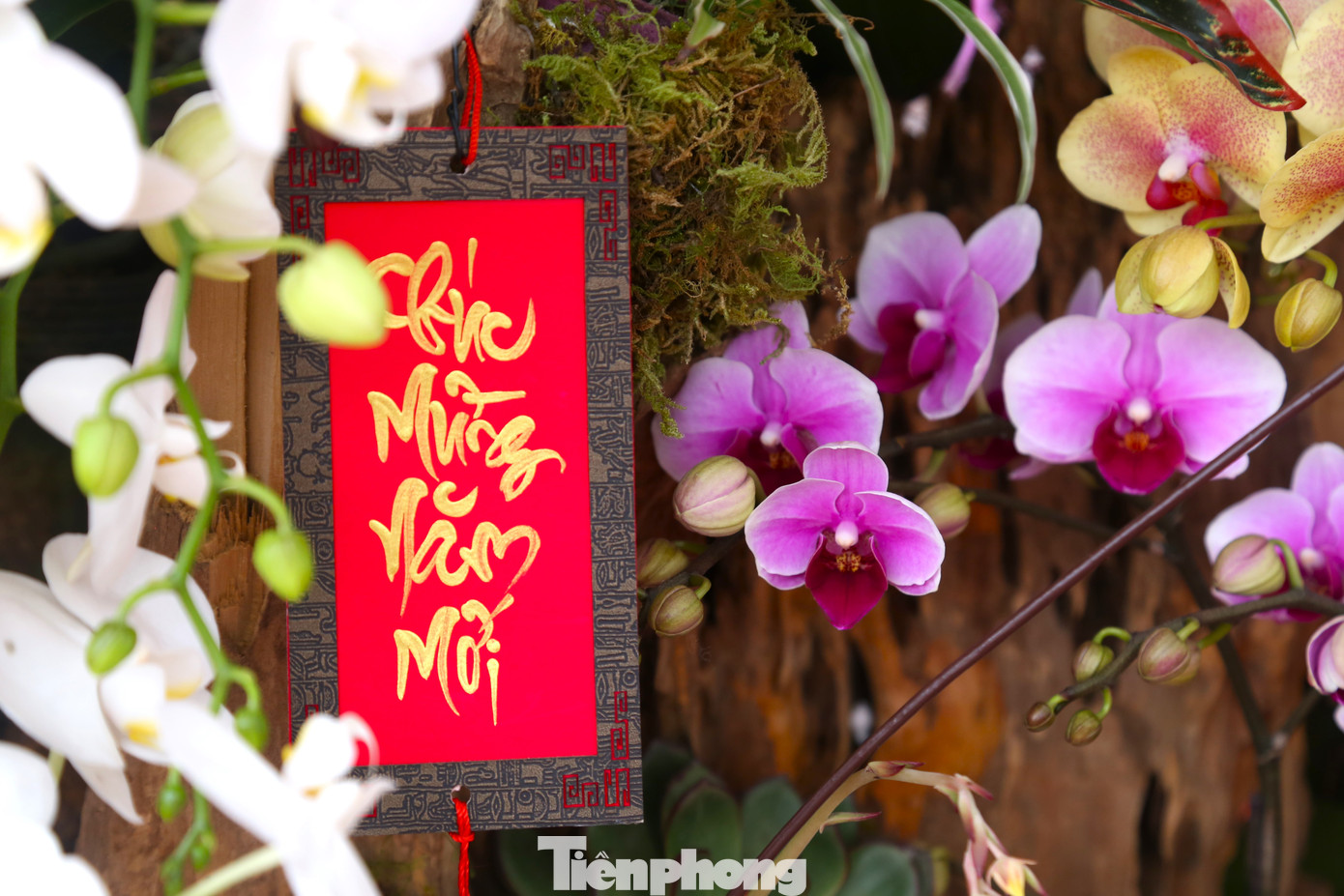 Tác phẩm được trang trí nhiều tiểu cảnh để tạo điểm nhấn.