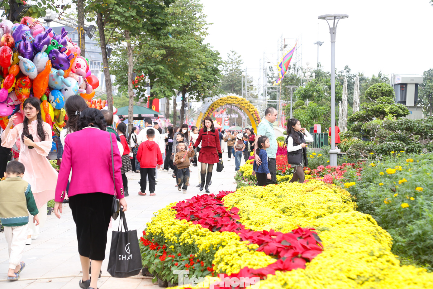 Với chiều dài khoảng trên 500m, chạy dọc theo chân Quảng trường Hồ Chí Minh, đường hoa nghệ thuật trở thành điểm nhấn cho thành phố với một hệ sinh thái các loài hoa rực rỡ, ấn tượng, tô thêm vẻ đẹp cho TP Vinh trong dịp Tết đến, Xuân về.