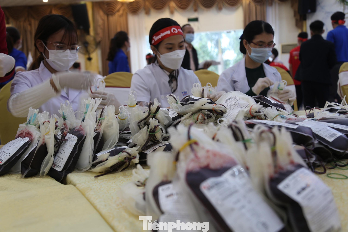 Này hội Chủ nhật đỏ tại Nghệ An thu được hơn 1.000 đơn vị máu Này hội Chủ nhật đỏ tại Nghệ An thu được hơn 1.000 đơn vị máu