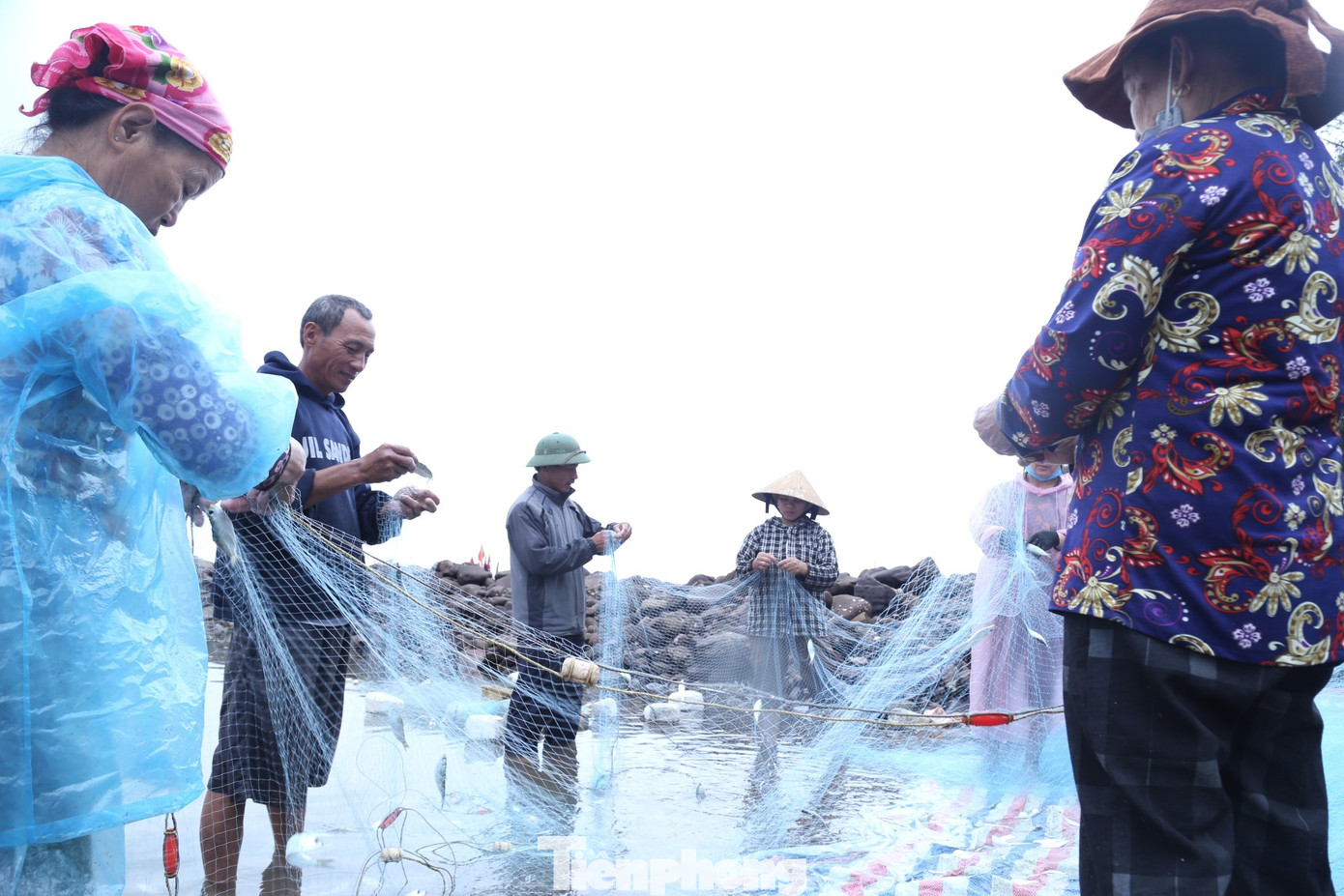 Ngư dân Trần Văn Thuận (SN 1971, trú xóm Tiền Phong, xã Nghi Tiến) cho biết, ông ra khơi đánh bắt từ 3-4h sáng, đến khoảng 8h cùng ngày sẽ di chuyển thuyền đưa lưới vào bờ, được khoảng 2 tạ cá trích. Ngư dân Trần Văn Thuận (SN 1971, trú xóm Tiền Phong, xã Nghi Tiến) cho biết, ông ra khơi đánh bắt từ 3-4h sáng, đến khoảng 8h cùng ngày sẽ di chuyển thuyền đưa lưới vào bờ, được khoảng 2 tạ cá trích.