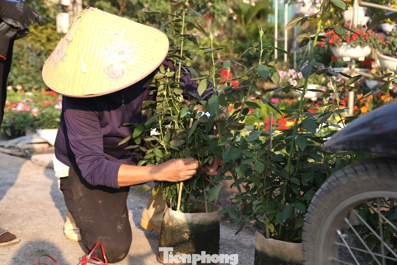 Những lao động miệt mài mưu sinh, ai cũng mong có một cái Tết đủ đầy hơn.