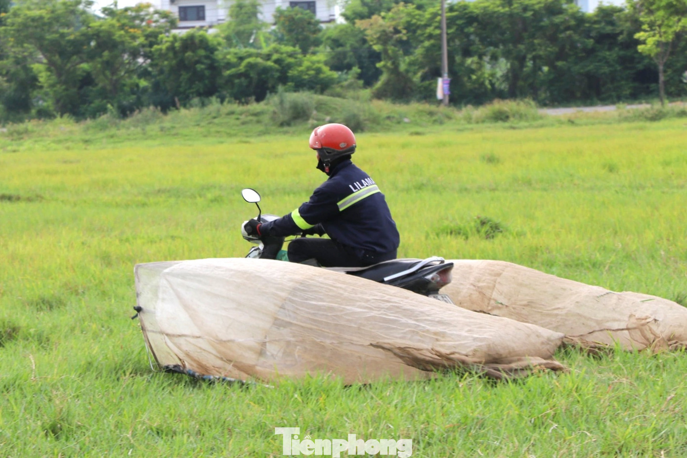 Kế bên, anh Lê Văn Tấn (trú thị xã Hoàng Mai) cho hay, nghề này tuy vất vả nhưng luôn có “tiền tươi, thóc thật”. Công việc cũng không cần bỏ nhiều vốn, quan trọng là phải có sức khỏe và sự nhanh nhạy, chịu khó.