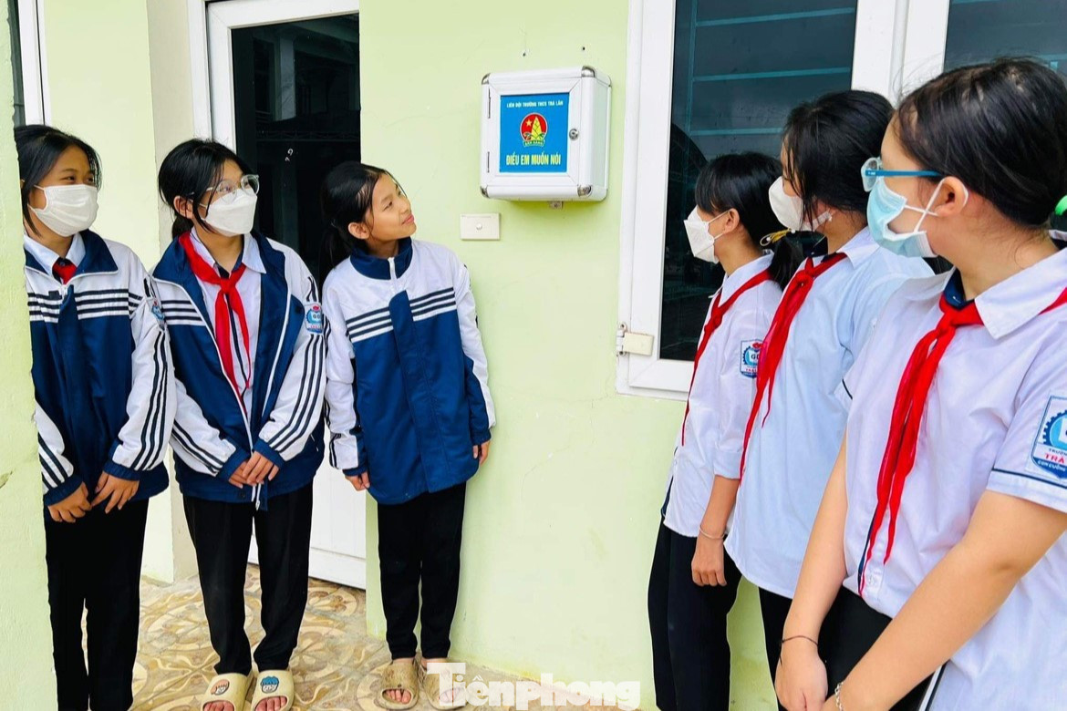 Anh Trần Linh - Phó Bí thư Tỉnh Đoàn, Chủ tịch Hội đồng Đội tỉnh Nghệ An chia sẻ: "Nhằm cụ thể hóa Kế hoạch số 87-KH/TWĐTN-CTTN ngày 21/8/2018 của Ban Bí thư Trung ương Đoàn về triển khai Luật Trẻ em năm 2016; nhằm thúc đẩy quyền tham gia của trẻ em vào các vấn đề về trẻ em, Hội đồng Đội tỉnh đã chỉ đạo triển khai mô hình Hộp thư "Điều em muốn nói" tới đồng loạt 905 liên đội. Thông qua mô hình đã giúp các em mạnh dạn chia sẻ tâm tư, nguyện vọng với thầy cô, bè bạn, qua đó, giáo viên, ban giám hiệu nhà trường nắm bắt được tâm tư nguyện vọng của học sinh và có hướng tháo gỡ, giúp các em yên tâm học tập”.