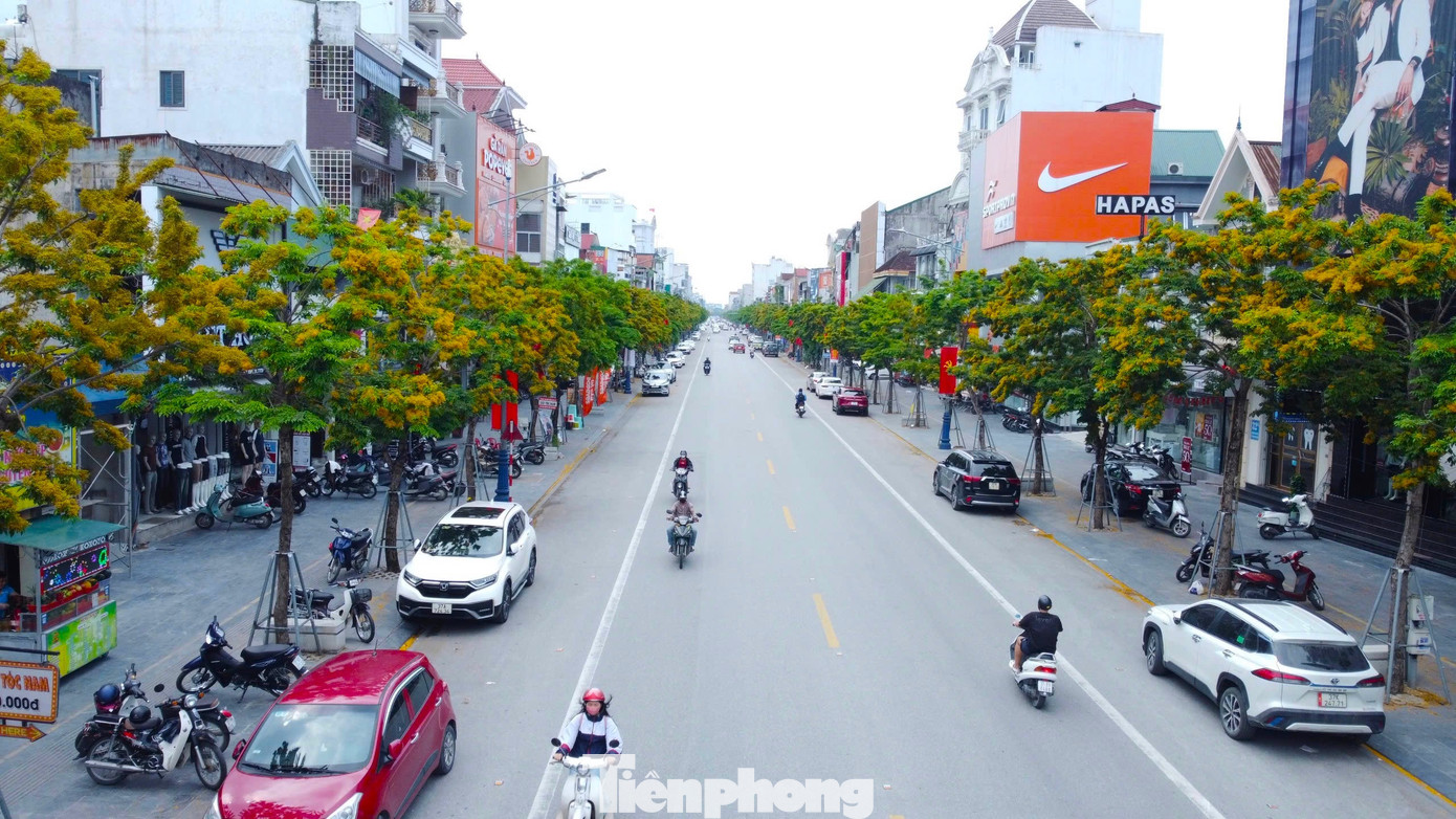 Những năm gần đây, Nguyễn Văn Cừ trở thành một trong những con phố đẹp nhất thành Vinh, đặc biệt, khi thời khắc giao mùa, hàng cây giáng hương nơi đây đồng loạt bung nở rực rỡ. Những chùm hoa vàng đua nhau nở rộ giữa những cành lá xanh ngát, khó ai có thể rời mắt khỏi vẻ đẹp quyến rũ của loại hoa này.