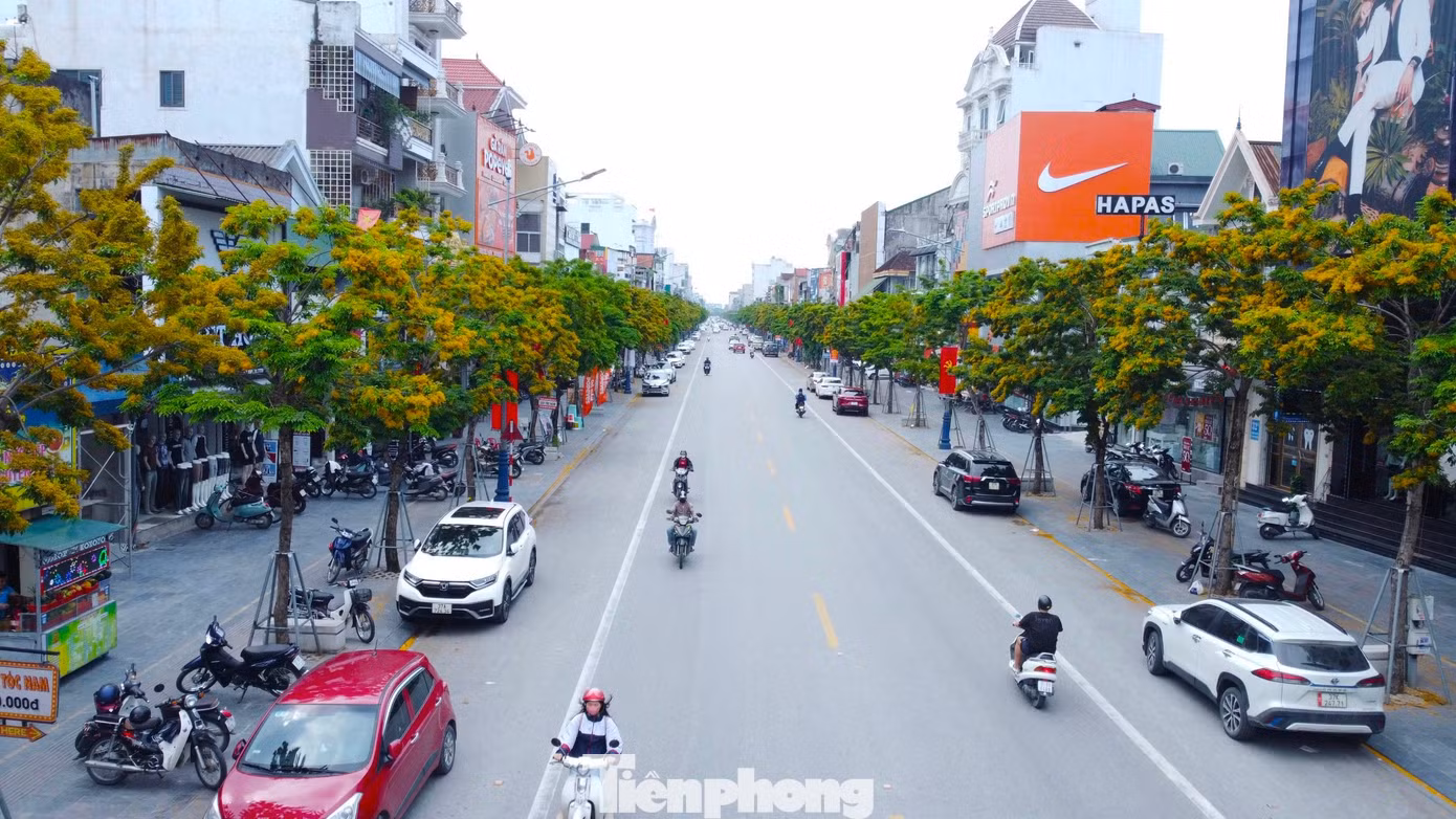 Những năm gần đây, Nguyễn Văn Cừ trở thành một trong những con phố đẹp nhất thành Vinh, đặc biệt, khi thời khắc giao mùa, hàng cây giáng hương nơi đây đồng loạt bung nở rực rỡ. Những chùm hoa vàng đua nhau nở rộ giữa những cành lá xanh ngát, khó ai có thể rời mắt khỏi vẻ đẹp quyến rũ của loại hoa này.