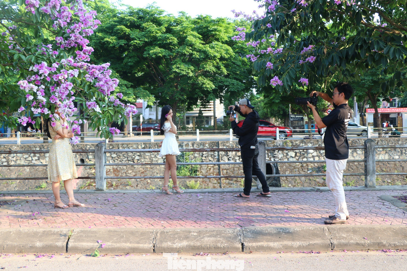 Anh Nguyễn Hoàng (thợ chụp ảnh, trú thành phố Vinh) cho hay: “Mùa hoa bằng lăng, nhu cầu chụp ảnh nhiều hơn. Có thời điểm, khách đặt lịch quá đông, chúng tôi phải từ chối”.