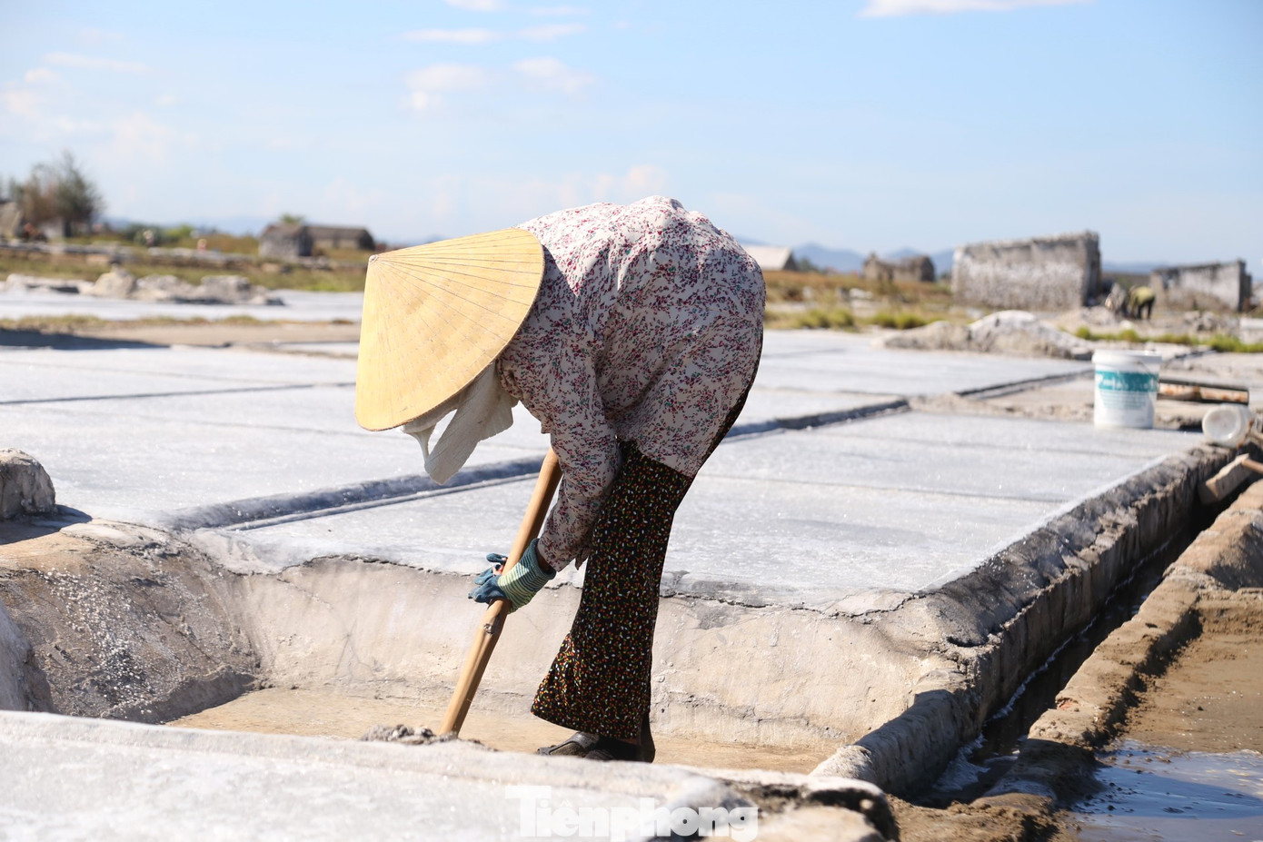 Bà Trần Thị Hòa (SN 1954) có 4 người con nhưng không ai theo nghề làm muối. Dù lưng đã còng, bà vẫn lặng lẽ ra đồng mỗi ngày, phơi mình dưới cái nắng chang chang. Nghề muối vất vả, cực nhọc, giá muối lại quá thấp nên những người như bà, không có việc gì làm mới bám trụ.
