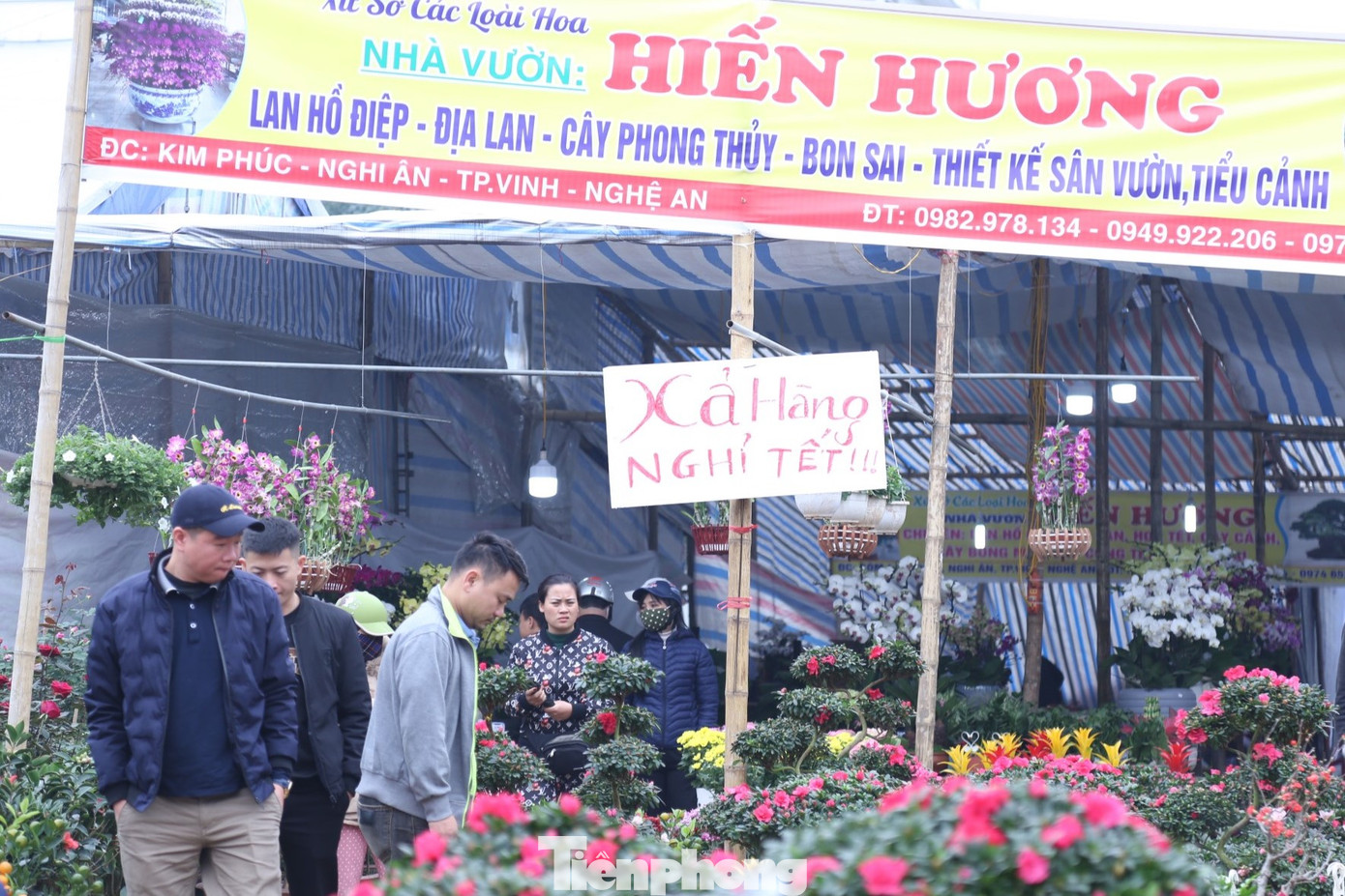 Mặc dù vẫn có người dân đi xem cây, số người thực sự xuống tiền để chọn cây cảnh không nhiều.