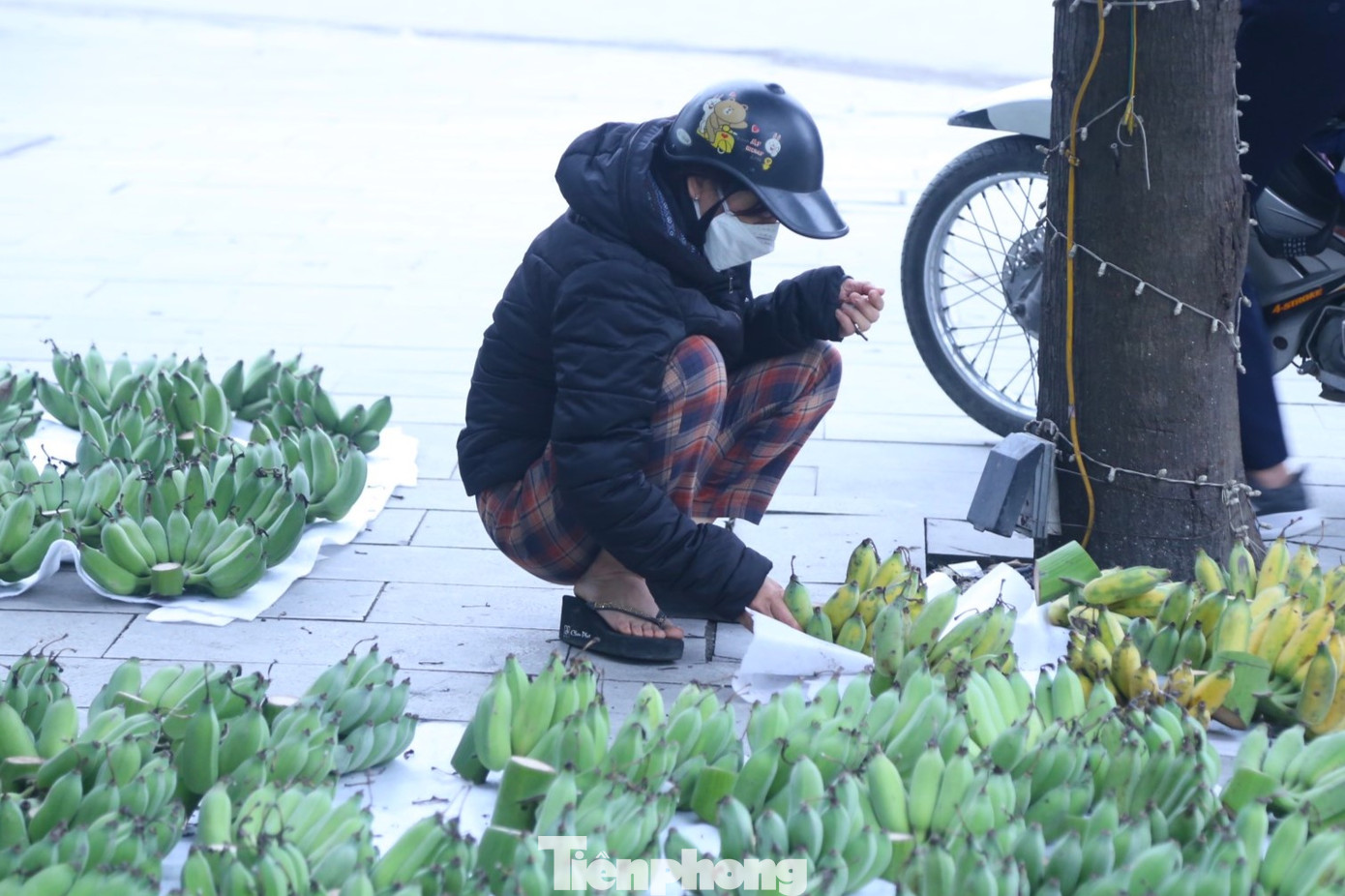 Do chuối miền Bắc khan hàng, giá cao nên một số tiểu thương nhập chuối tiêu miền Nam về bán. Mặc dù giá chuối tiêu miền Nam khá rẻ, chỉ 80.000-130.000 đồng/nải đều, đẹp song không được người dân ưa chuộng. Bởi, mọi người e ngại chuối được vận chuyển bằng container lạnh, đem về thờ Tết sẽ nhanh xuống mã.