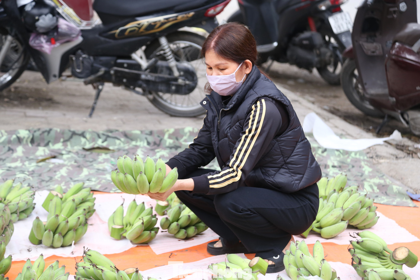 Người dân chọn mua chuối xanh để bày mâm ngũ quả ngày Tết trong sáng 8/2.