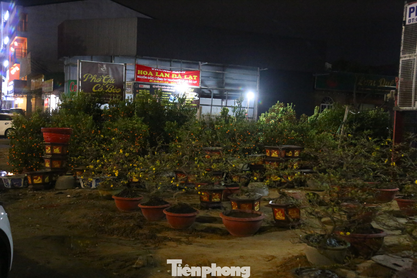 Nhiều điểm bán đào, quất, mai vắng bóng khách. Tiểu thương lo "mất Tết" khi hàng còn nhiều mà Tết đã cận kề.