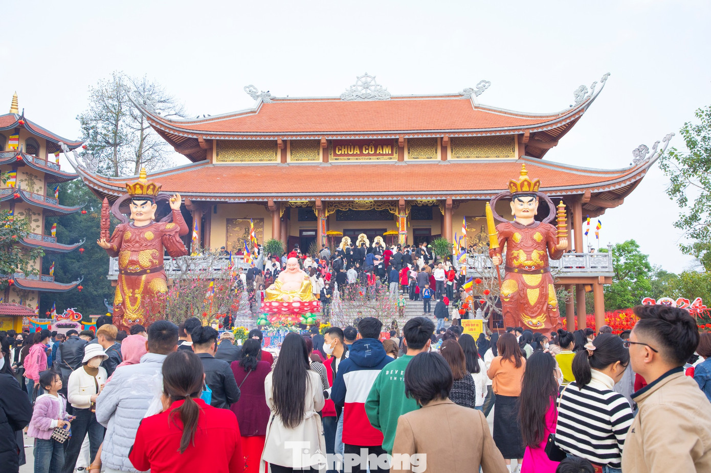 Những ngày đầu xuân năm mới, hàng nghìn người dân và du khách thập phương đã đến chùa Cổ Am (huyện Diễn Châu, Nghệ An) để du Xuân, vãn cảnh.