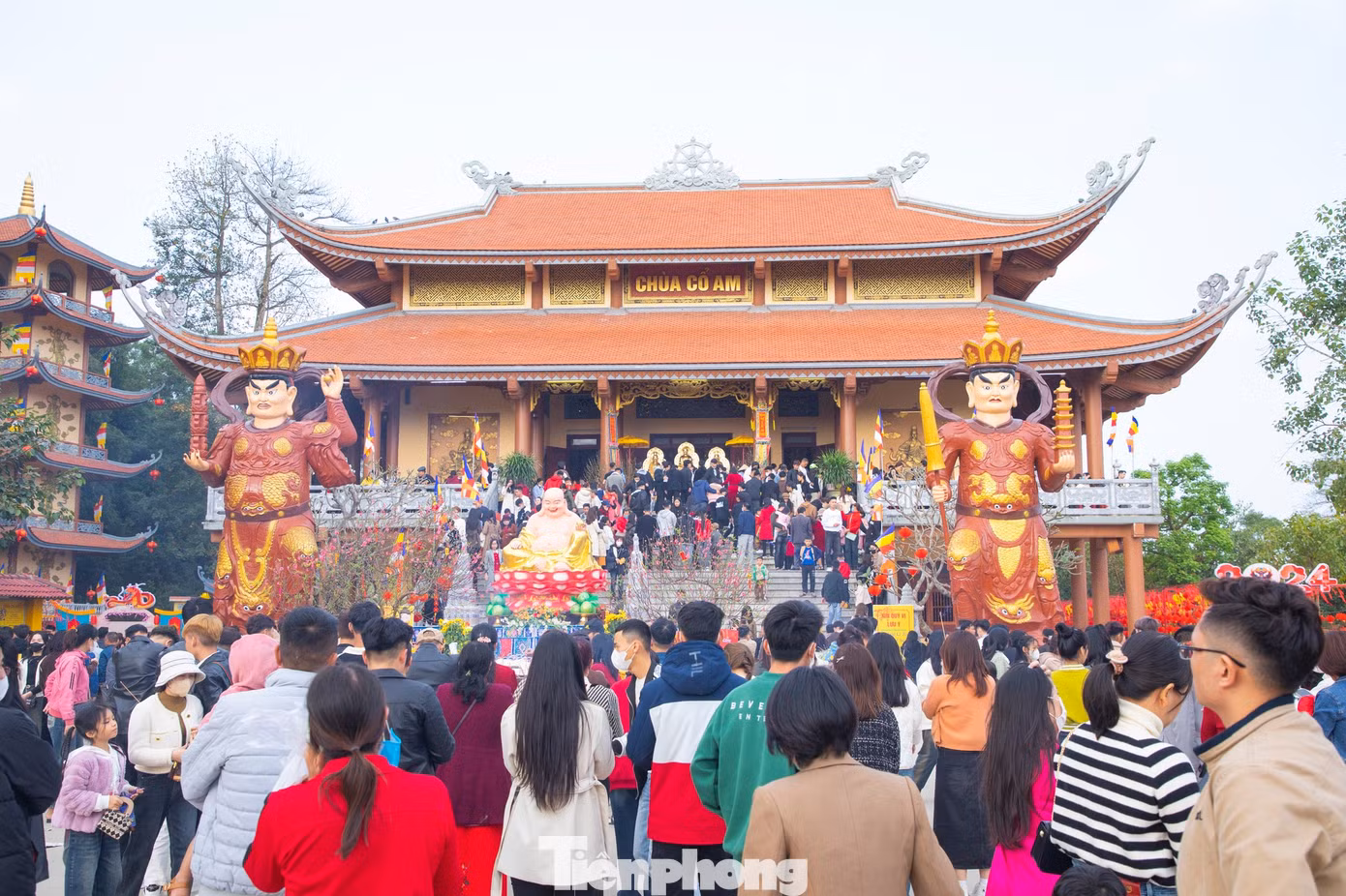 Những ngày đầu xuân năm mới, hàng nghìn người dân và du khách thập phương đã đến chùa Cổ Am (huyện Diễn Châu, Nghệ An) để du Xuân, vãn cảnh.