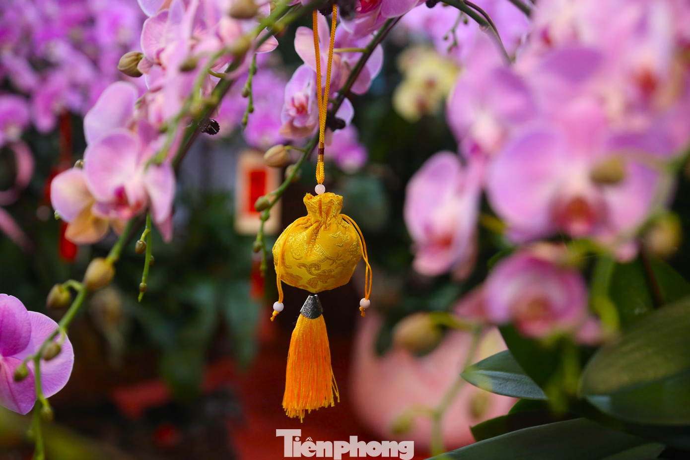 Tác phẩm được trang trí nhiều tiểu cảnh để tạo điểm nhấn.