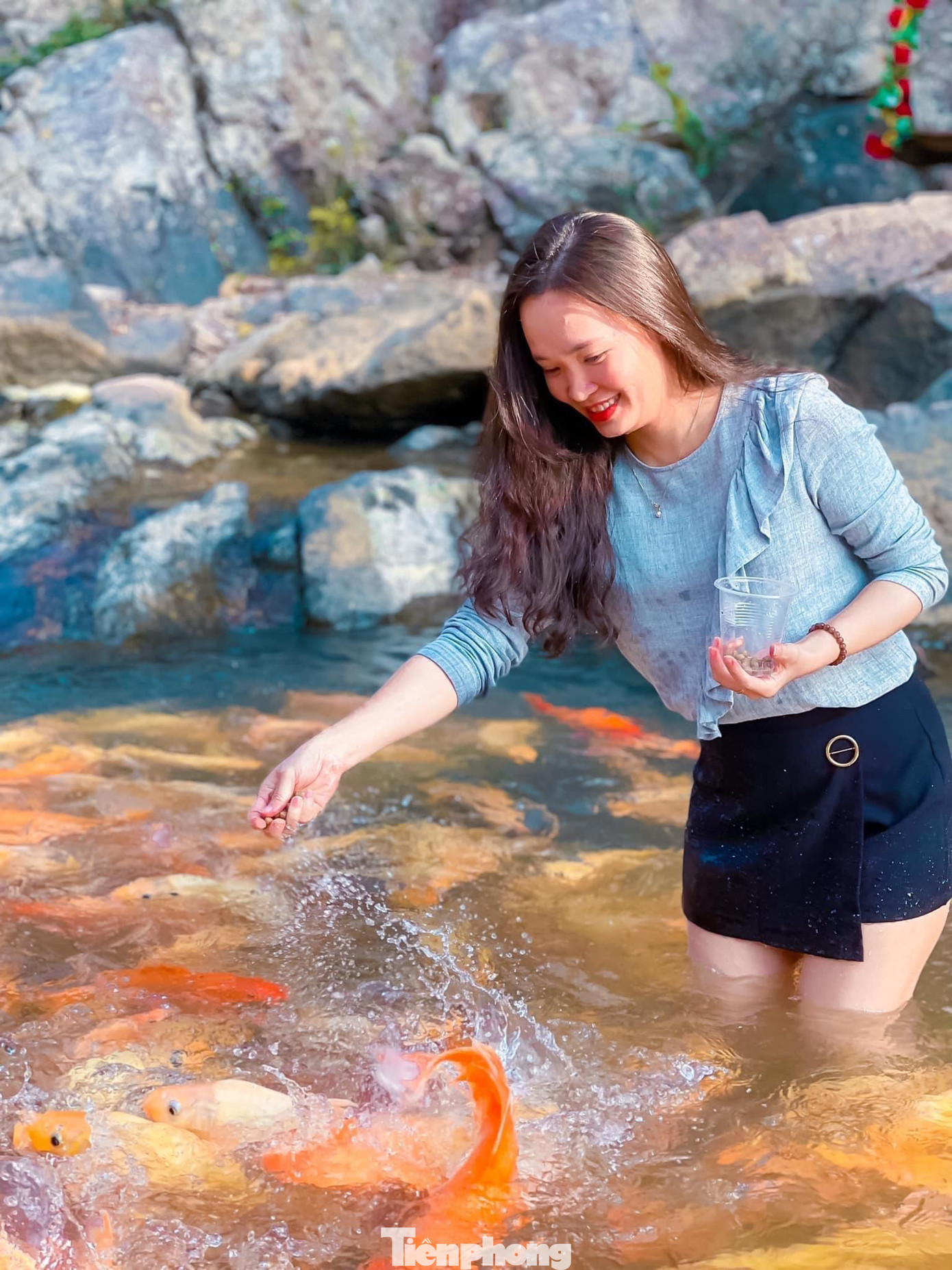 Hàng chục nghìn con cá với hình thù khác nhau, đủ màu sắc, có trọng lượng từ 1-5kg. Đến đây, bạn có thể cho cá ăn...