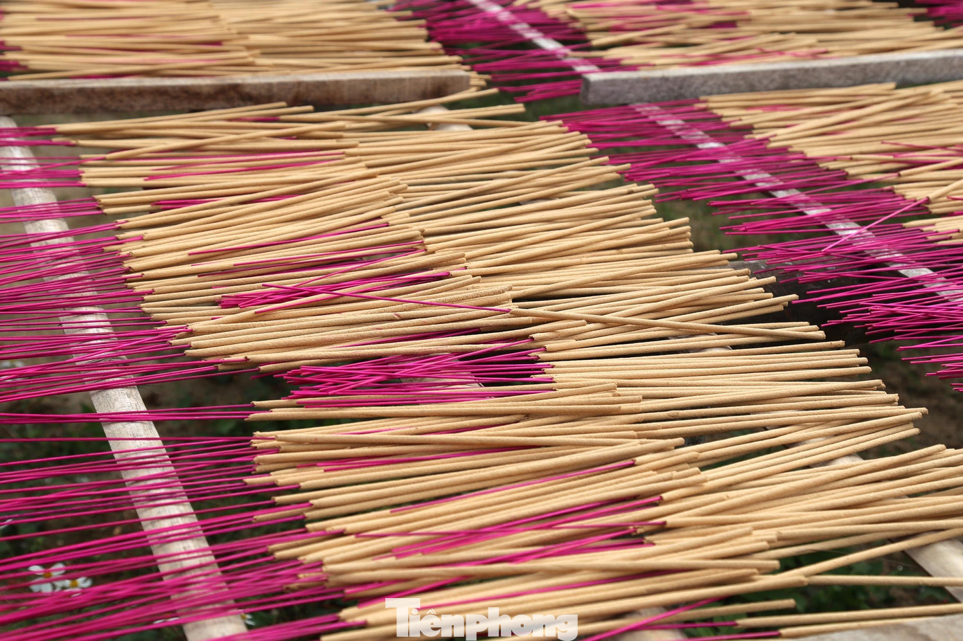 Làng nghề hương Tây Lân được UBND tỉnh Nghệ An công nhận danh hiệu làng nghề năm 2011. Làng hiện có 13 hộ chuyên sản xuất hương, với 100 lao động thường xuyên và hơn 150 lao động thời vụ.