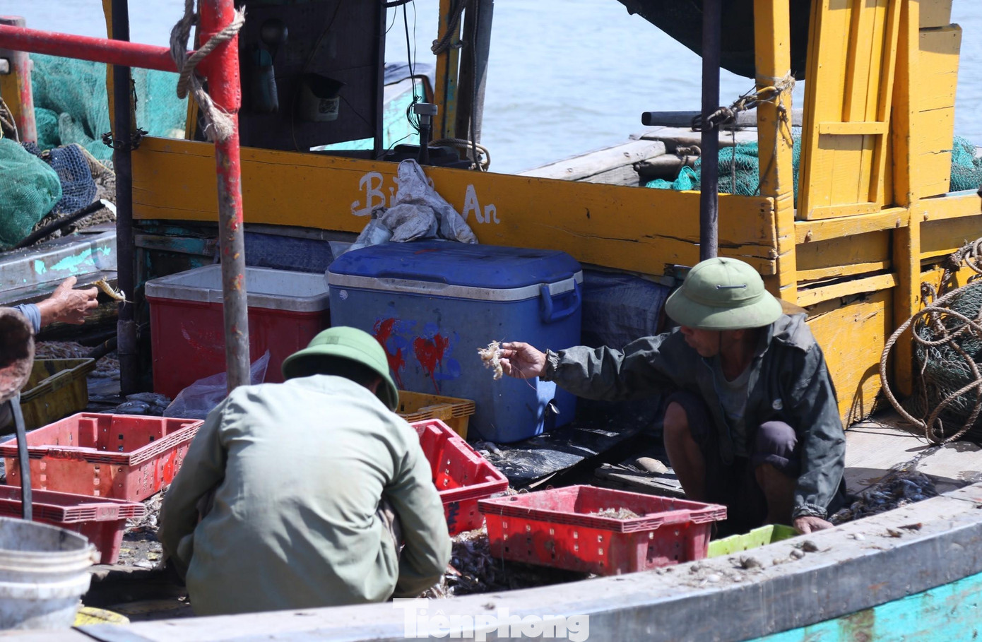 Phân loại hải sản để bán cho các lái buôn ngay tại cảng cá.
