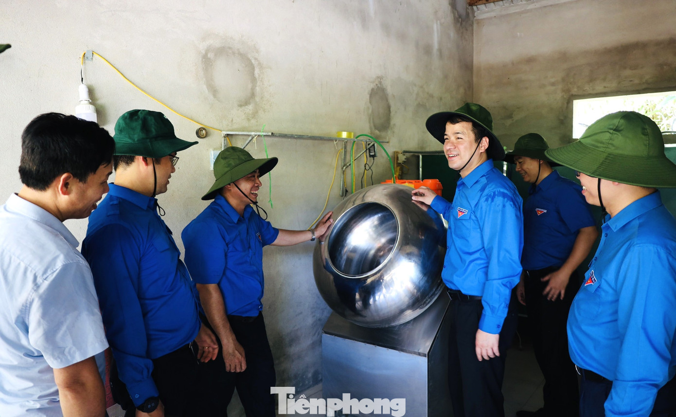 Người dân đã chủ động chăm sóc nghệ theo đúng quy trình kỹ thuật được tập huấn, cây nghệ sinh trưởng phát triển tốt, tỷ lệ cây nghệ bị sâu, bệnh hại ít, củ nghệ đỏ được Tổng đội TNXP 9 tổ chức thu mua, chế biến và tiêu thụ hết cho người dân. Sản lượng củ nghệ tươi năm 2022 đạt 230 tấn, giá trị đạt 1,1 tỷ đồng.