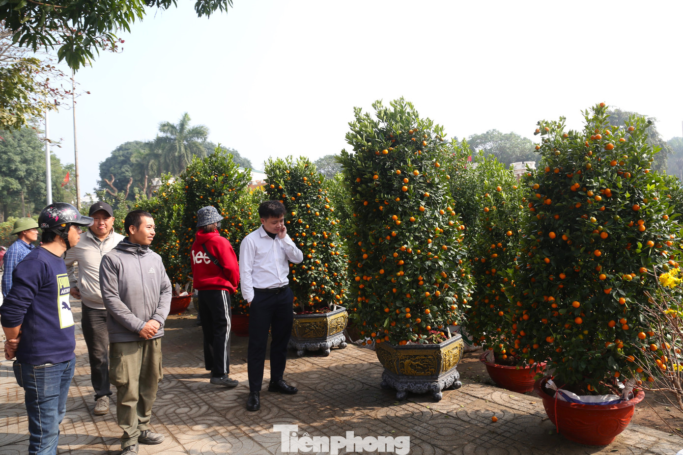 Tết Nguyên đán Ất Tỵ đã cận kề, song các điểm bán hoa, cây cảnh tết ở TP. Vinh (Nghệ An) năm nay vẫn khá ảm đạm. Vắng khách, nhiều tiểu thương bán đào, mai dọc nhiều tuyến đường ở TP Vinh đã bắt đầu treo biển “xả hàng” nhằm thu hồi vốn. Thị trường hoa Tết ế ẩm khiến những người làm nghề chở cây cảnh thuê cũng thiếu việc làm, giảm thu nhập.