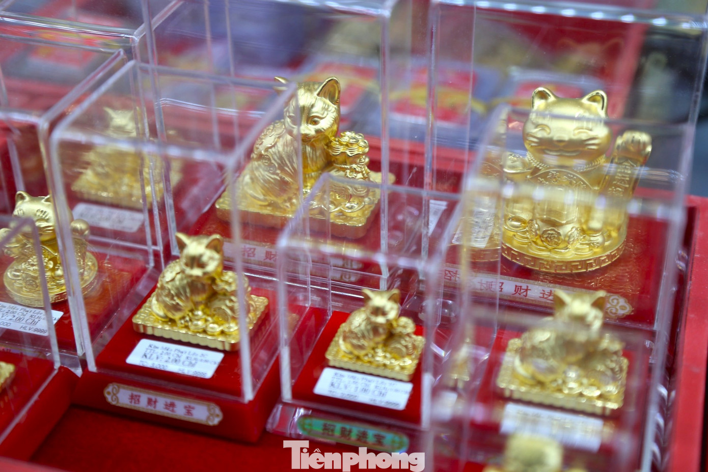 Năm Quý Mão nên linh vật con mèo vàng được nhiều người săn tìm. Năm Quý Mão nên linh vật con mèo vàng được nhiều người săn tìm.