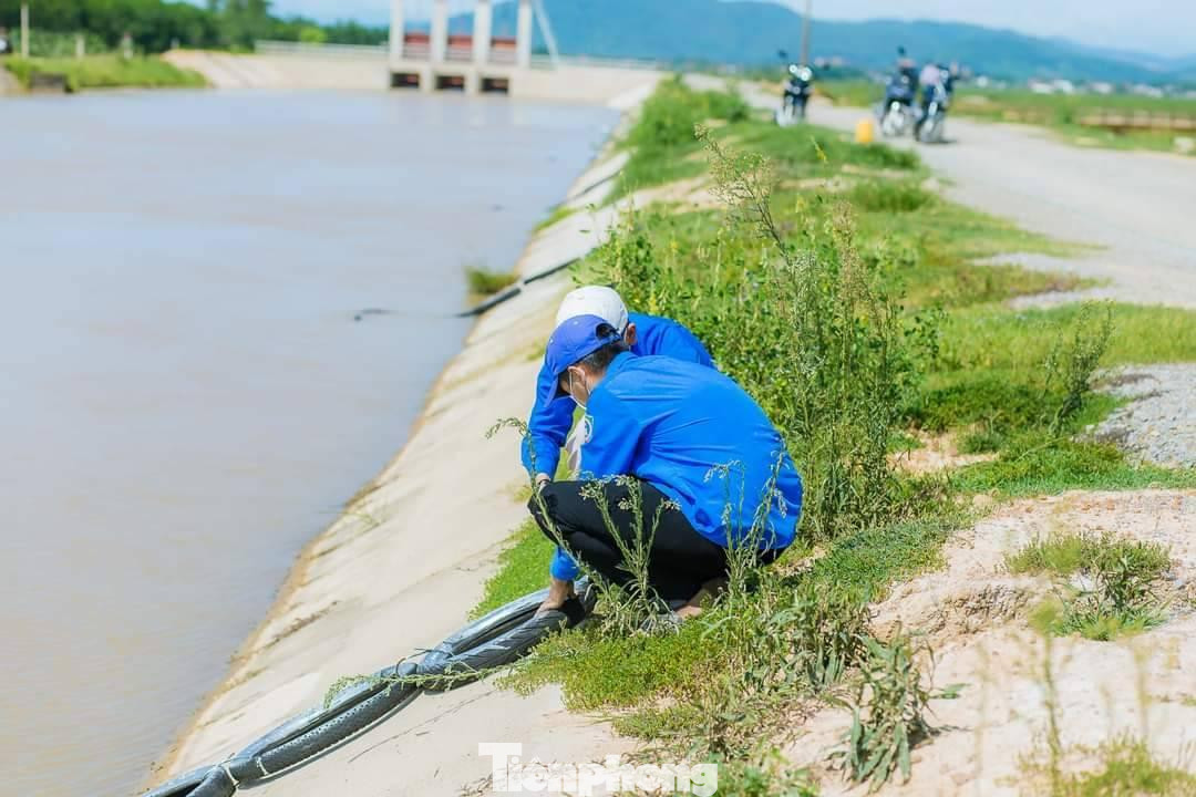 “Chúng tôi đã vận động các tổ chức, cơ sở đoàn tích cực tham gia, nhân rộng mô hình “thang cứu đuối” lắp đặt ở tất cả các hồ đập, sông suối,... Hiện, 16/18 xã trên địa bàn huyện đã triển khai mô hình và nhận được phản hồi tích cực từ người dân, mang lại hiệu quả cao”, Phó Bí thư Huyện đoàn Yên Thành cho hay. (Ảnh: TH)