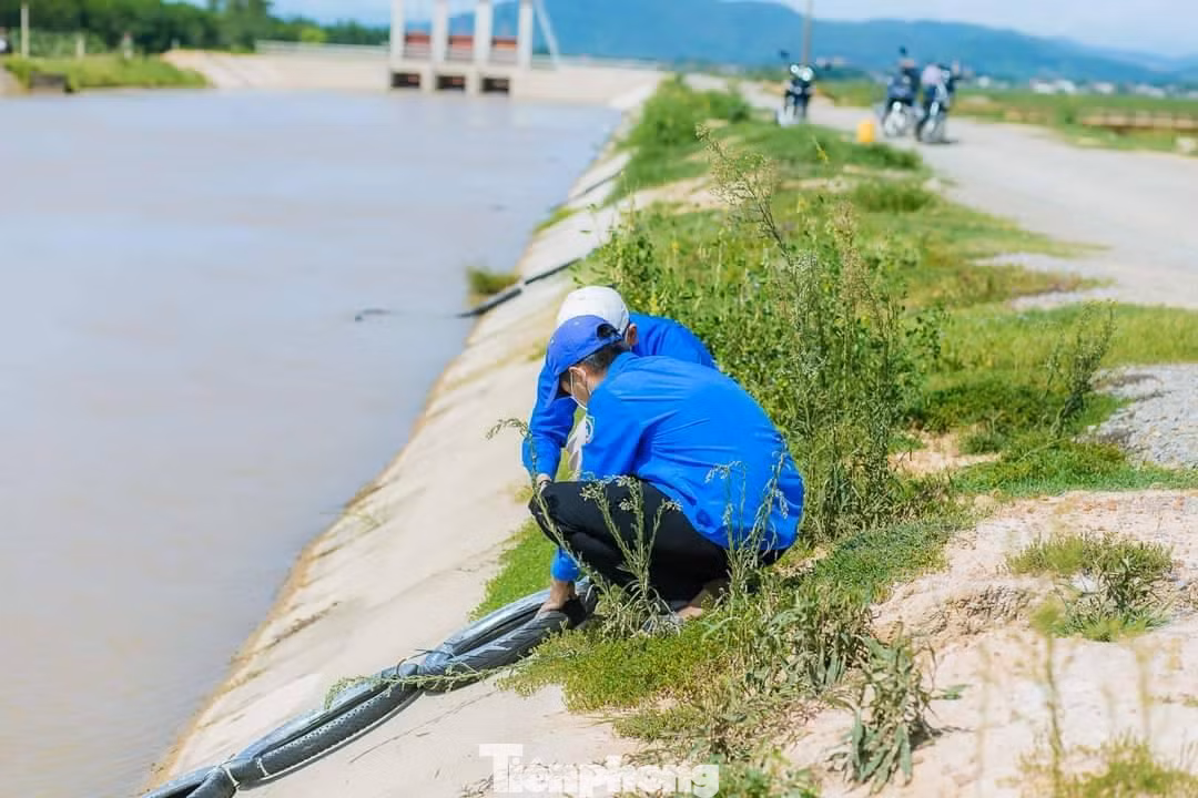 “Chúng tôi đã vận động các tổ chức, cơ sở đoàn tích cực tham gia, nhân rộng mô hình “thang cứu đuối” lắp đặt ở tất cả các hồ đập, sông suối,... Hiện, 16/18 xã trên địa bàn huyện đã triển khai mô hình và nhận được phản hồi tích cực từ người dân, mang lại hiệu quả cao”, Phó Bí thư Huyện đoàn Yên Thành cho hay. (Ảnh: TH)