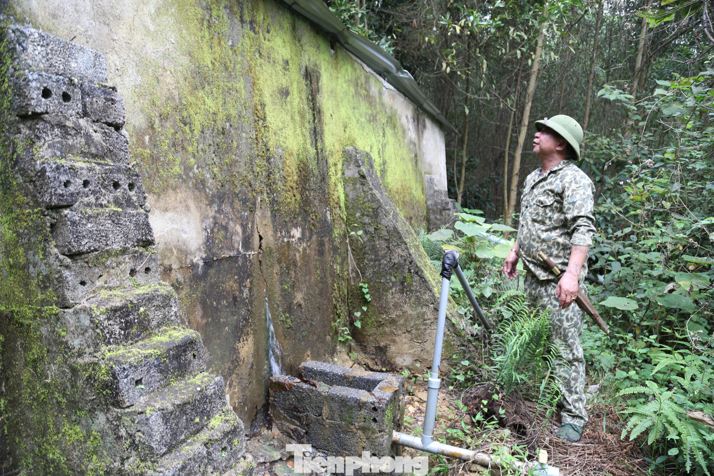 Rêu mốc phủ kín quanh bể nước