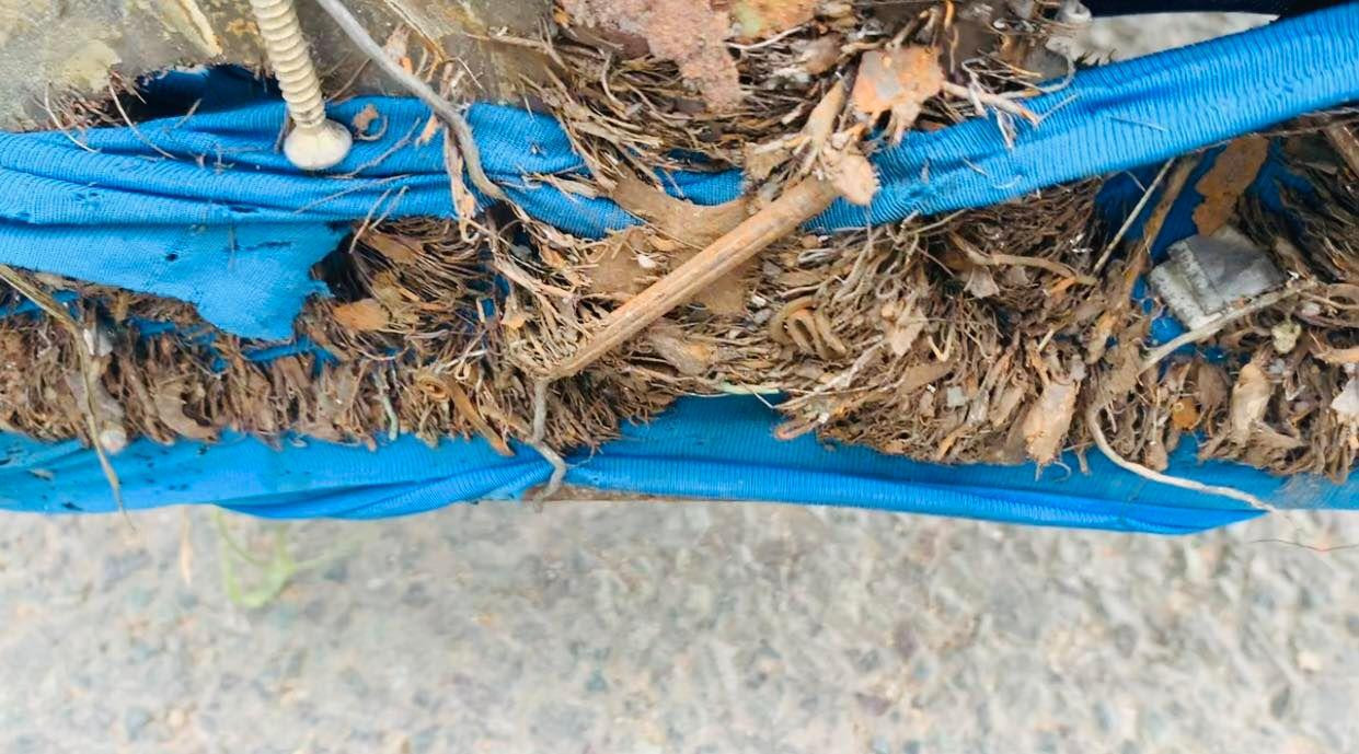 Số lượng đinh sắt mà Trung hút được