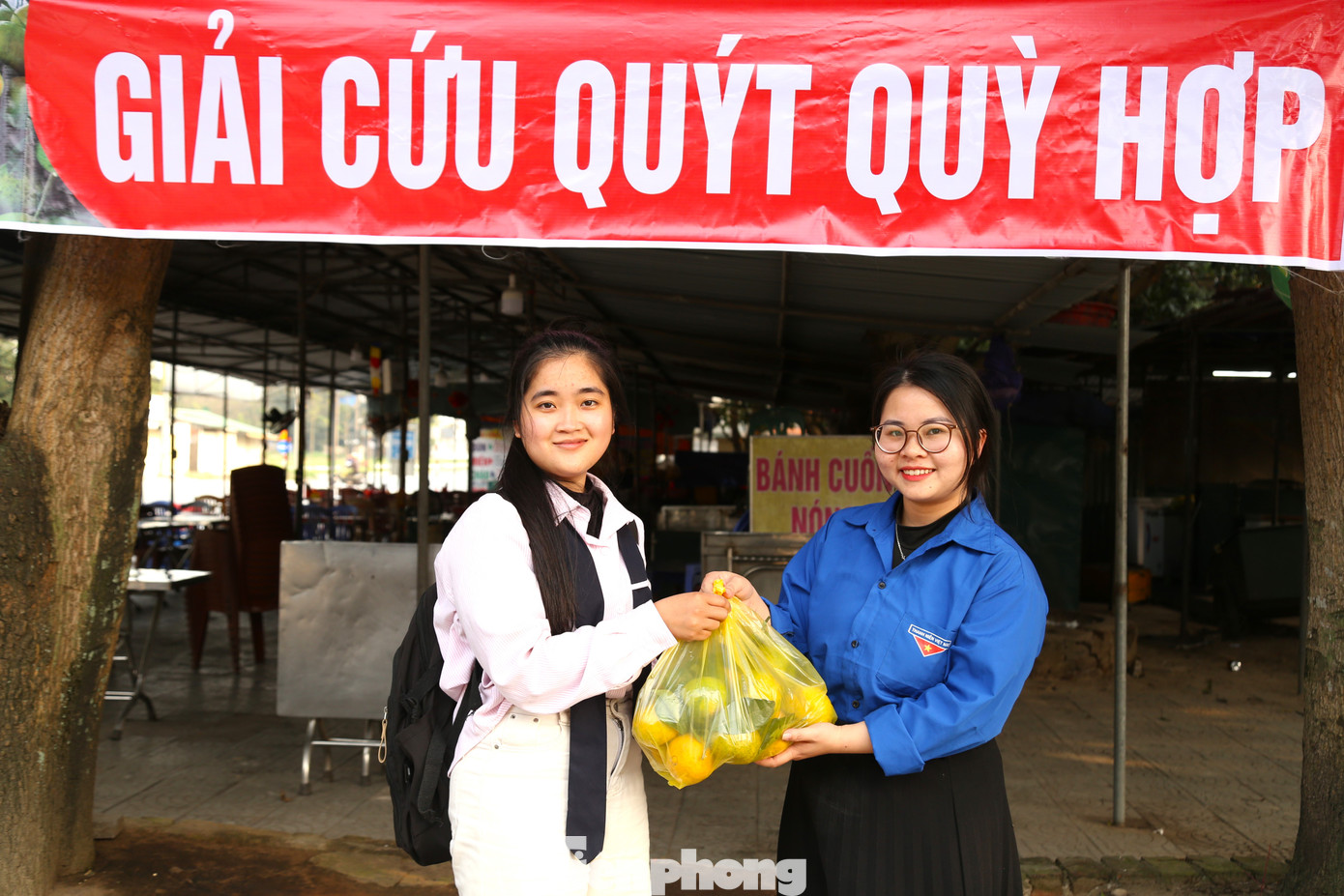 Hiện, Tỉnh Đoàn Nghệ An đã huy động lực lượng đoàn viên, thanh niên, kết nối với các tổ chức và cá nhân để hỗ trợ tiêu thụ quýt cho bà con. Đến nay, Tỉnh Đoàn đã giúp tiêu thụ được 12 tấn quýt với giá thu mua tại vườn là 8.000 đồng/kg. Hội Nông dân tỉnh Nghệ An cũng đã kết nối, giới thiệu các tổ chức, cá nhân, doanh nghiệp thu mua giúp bà con nông dân.