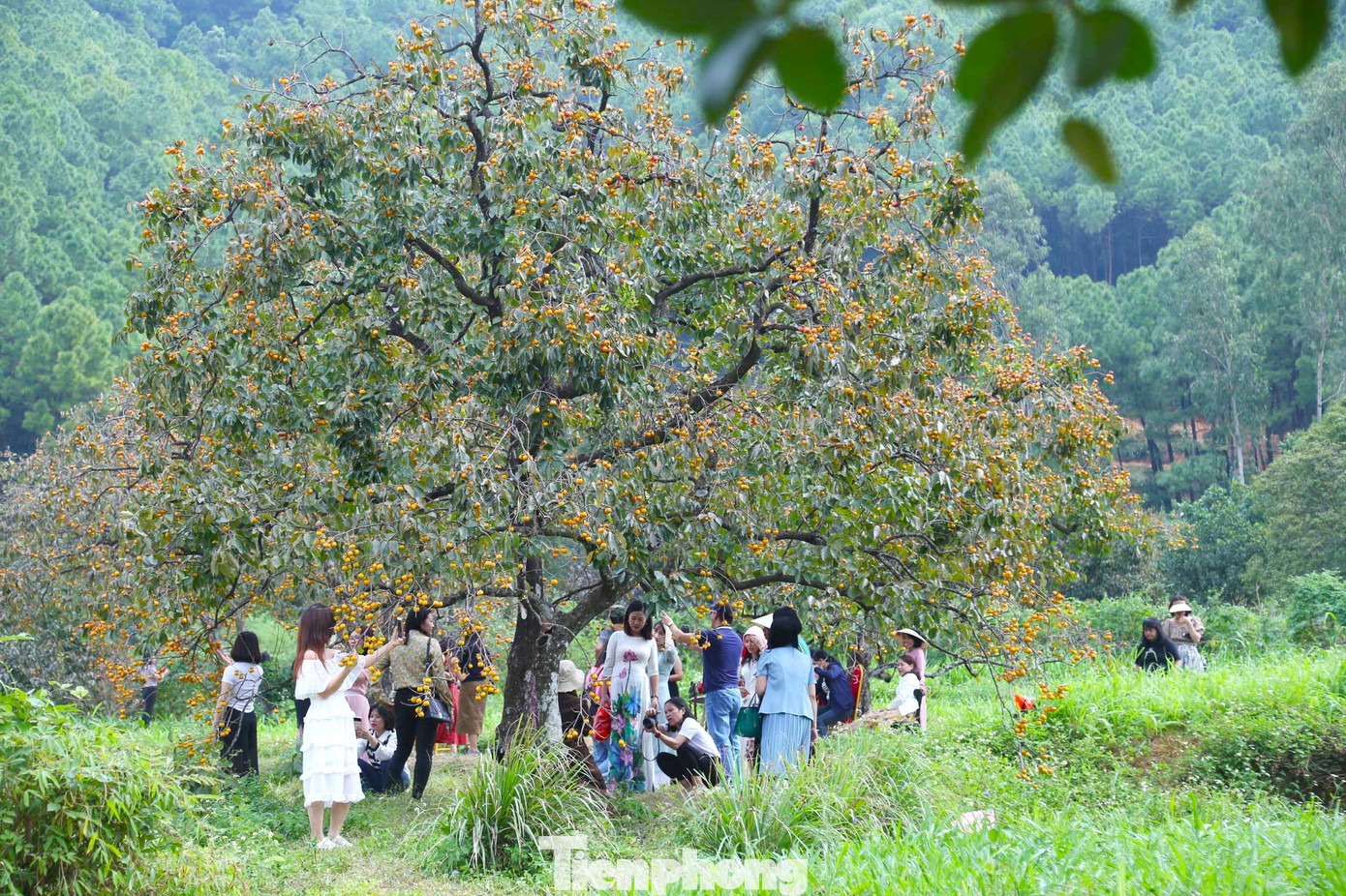 Những năm gần đây, ngoài bán quả, nhiều chủ vườn hồng ở xã Nam Anh còn mở cửa phục vụ du lịch trải nghiệm. Vào dịp cuối tuần, các vườn hồng lại thu hút hàng trăm lượt khách đến tham quan và chụp ảnh. Những năm gần đây, ngoài bán quả, nhiều chủ vườn hồng ở xã Nam Anh còn mở cửa phục vụ du lịch trải nghiệm. Vào dịp cuối tuần, các vườn hồng lại thu hút hàng trăm lượt khách đến tham quan và chụp ảnh.
