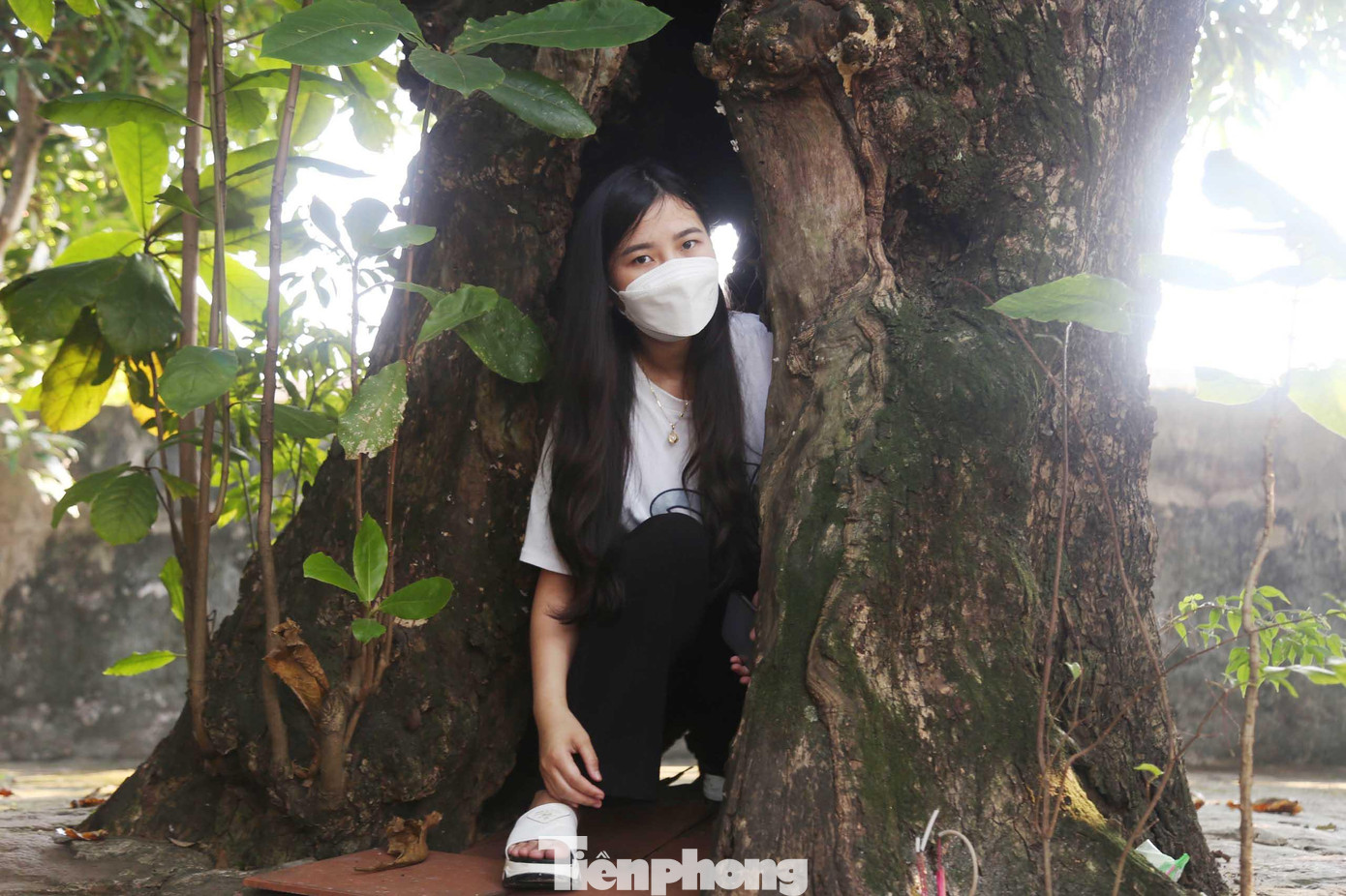 Nhiều du khách đến Đền thường thích thú vào trong gốc cây cổ thụ để chụp ảnh.