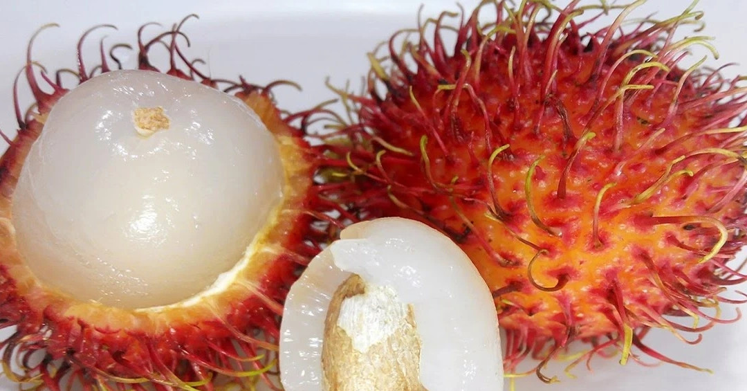 Hóc hạt chôm chôm, bé 9 tháng tuổi ờ Nghệ An tử vong thương tâm. Ảnh minh hoạ