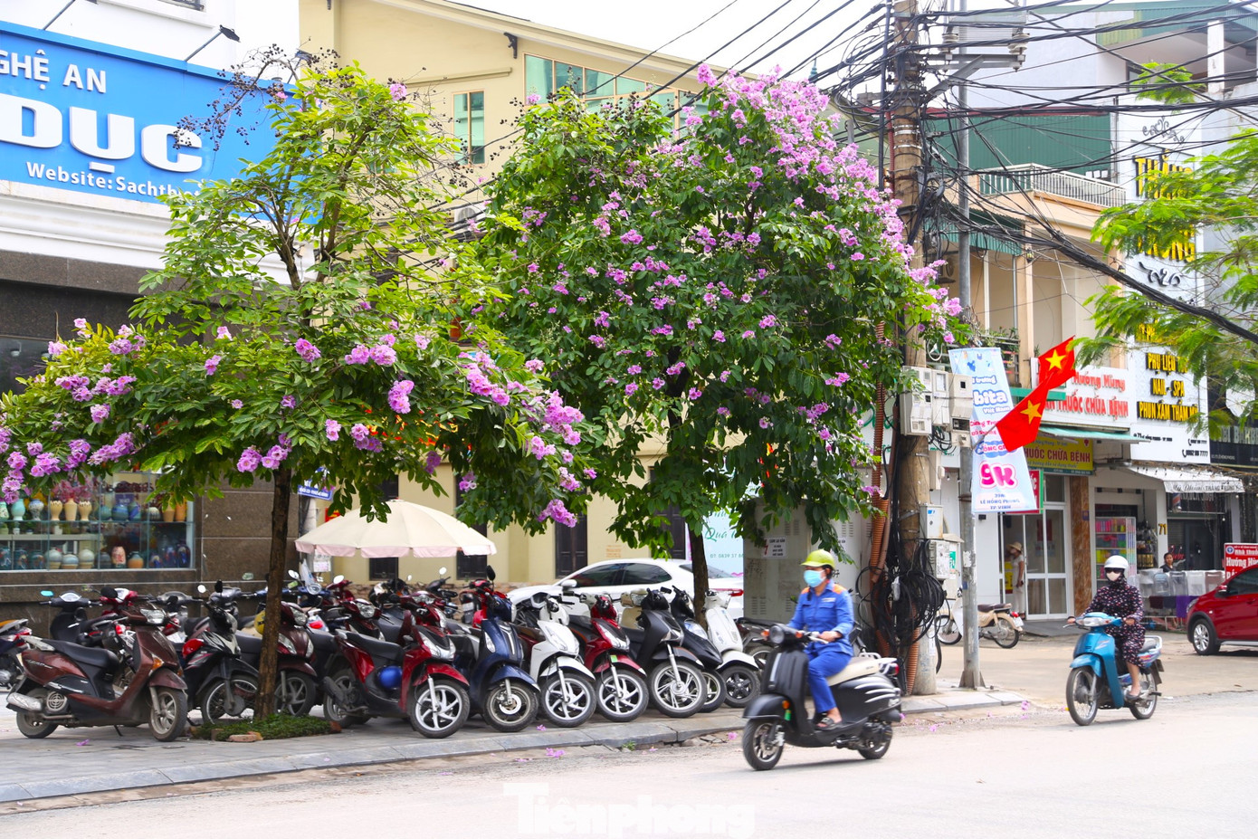 Tuyến phố Lê Hồng Phong cũng rực rỡ sắc tím bằng lăng