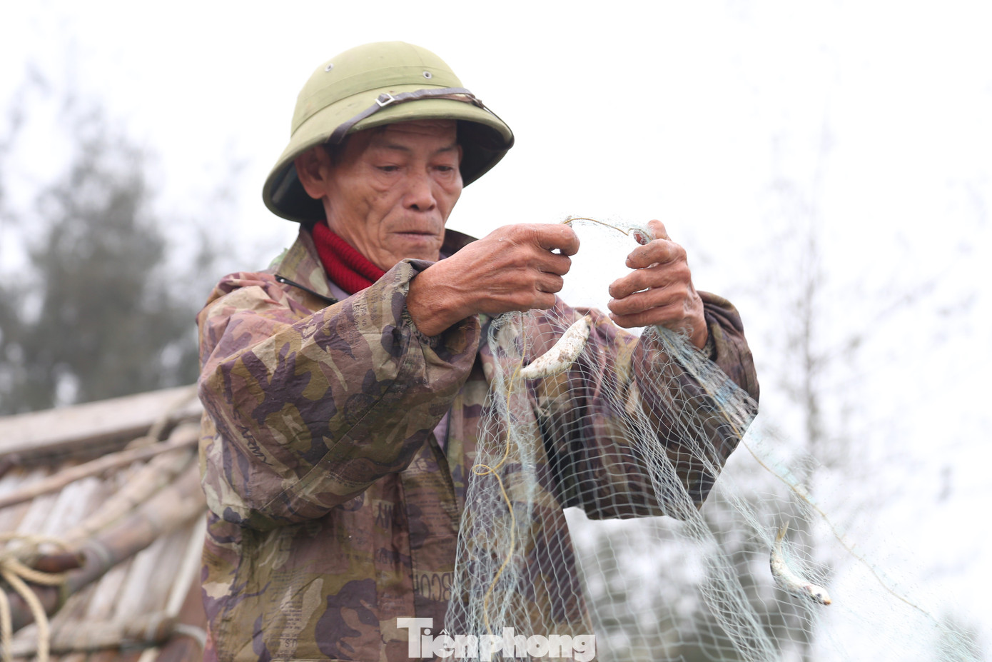 “Cá trích di chuyển theo lạch nước từng đàn và xuất hiện dày đặc ở vùng biển gần bờ, khi thấy cá sẽ thả lưới. Sau 5 – 6 giờ đánh bắt là có cá, bè lại quay đầu về bờ. Hôm nay chúng tôi đánh được gần 2 tạ cá trích, trừ chi phí cũng kiếm được vài triệu. Cá sau khi được gỡ xong được thương lái thu mua tại chỗ”, ông Tuấn chia sẻ.