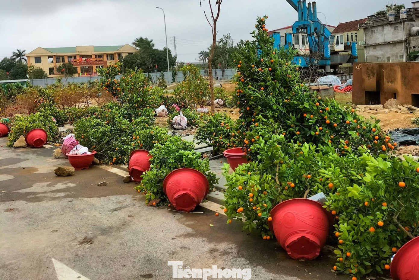 Thời tiết mưa lớn khiến các tiểu thương như đang ngồi trên đống lửa vì lo "mất Tết".