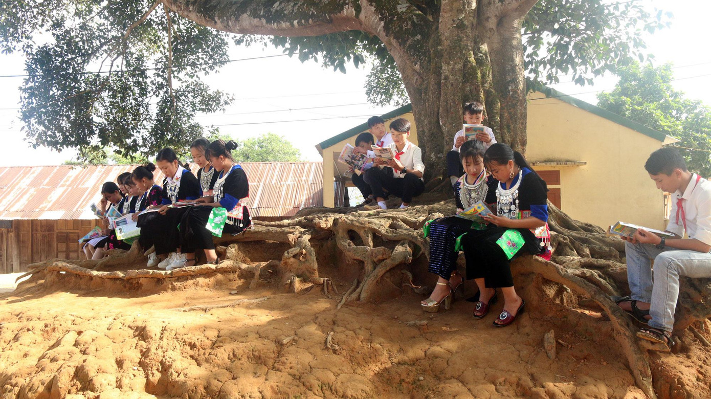 Những gốc đa cổ thụ trở thành nơi đọc sách của nhiều em học sinh vùng cao.