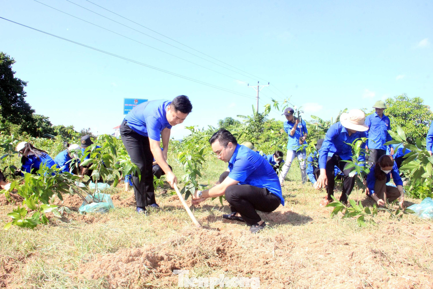 Trao tặng cây giống xây dựng vườn ươm thanh niên tại xã Nghi Tiến, huyện Nghi Lộc