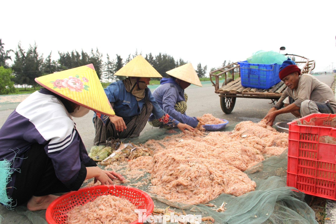 Được mùa ruốc biển, ngư dân phấn khởi những ngày đầu năm mới. Được mùa ruốc biển, ngư dân phấn khởi những ngày đầu năm mới.